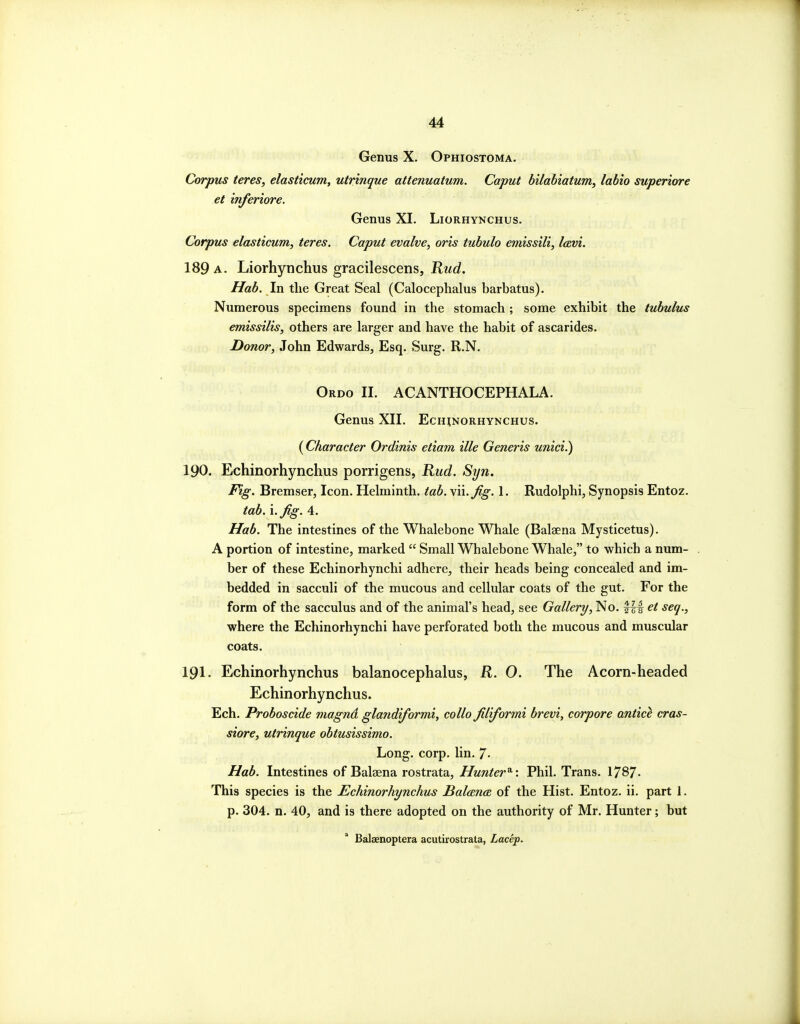 Corpus teres, elasticum, utrinque attenuatum. Caput bilabiatum^ labio superiore et inferiore. Genus XI. Liorhynchus. Corpus elasticum, teres. Caput evalve, oris tubulo emissili, Icevi. 189 a. Liorhynchus gracilescens, Rud. Hab. In the Great Seal (Calocephalus barbatus). Numerous specimens found in the stomach ; some exhibit the tubulus emissilis, others are larger and have the habit of ascarides. Donor, John Edwards, Esq. Surg. R.N. Ordo II. ACANTHOCEPHALA. Genus XII. Ech^norhynchus. (Character Ordinis etiam ille Generis unici.) 190. Echinorhynchus porrigens, Rud. Syn. Fig. Bremser, Icon. Helminth, tab. Vu.Jig. 1. Rudolphi, Synopsis Entoz. tab. I. fig. 4. Hab. The intestines of the Whalebone Whale (Balaena Mysticetus). A portion of intestine, marked  Small Whalebone Whale, to which a num- ber of these Echinorhynchi adhere, their heads being concealed and im- bedded in sacculi of the mucous and cellular coats of the gut. For the form of the sacculus and of the animal's head, see Gallery, No. et seq., where the Echinorhynchi have perforated both the mucous and muscular coats. 191. Echinorhynchus balanocephalus, R. 0. The Acorn-headed Echinorhynchus. Ech. Proboscide magnd glafidiformi, collo filiformi brevi, corpore antice cras- siore, utrinque obtusissimo. Long. corp. lin. 7- Hab. Intestines of Balaena rostrata, Hunter^: Phil. Trans. 1787- This species is the Echinorhynchus BalanoB of the Hist. Entoz. ii. part 1. p. 304. n. 40, and is there adopted on the authority of Mr. Hunter; but Balaenoptera acutirostrata, Lacep.