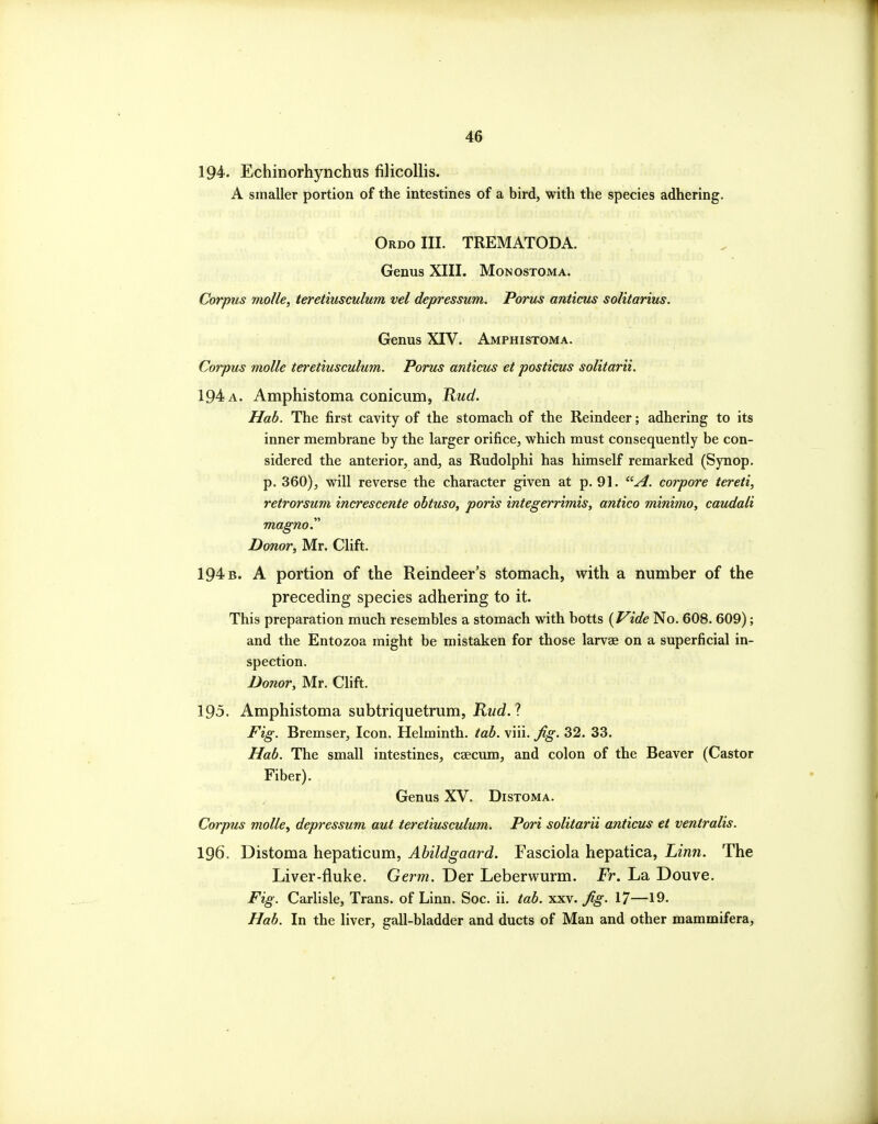 194. Echinorhynchus filicollis. A smaller portion of the intestines of a bird, with the species adhering. OrdoIII. TREMATODA. Genus XIII. Monostoma. Corpus molle, teretiusculum vel depressum. Porus anticus solitarius. Genus XIV. Amphistoma. Corpus molle teretiusculum. Poru^ anticus et posticus solitarii. 194 a. Amphistoma conicum, Kud. Hah. The first cavity of the stomach of the Reindeer; adhering to its inner membrane by the larger orifice, which must consequently be con- sidered the anterior, and, as Rudolphi has himself remarked (Synop. p. 360), will reverse the character given at p. 91. ^'■A. corpore tereti, retrorsum increscente obtuse, ports integerrimis, antico minimo, caudali magno. Donor, Mr. Clift. 194 b. a portion of the Reindeer's stomach, with a number of the preceding species adhering to it. This preparation much resembles a stomach with hotts {Vide No. 608. 609); and the Entozoa might be mistaken for those larvae on a superficial in- spection. Donor, Mr. Clift. 195. Amphistoma subtriquetrum, Kud. ? Fig. Bremser, Icon. Helminth, tab. viii. Jig. 32. 33. Hab. The small intestines, csecum, and colon of the Beaver (Castor Fiber). Genus XV. Distoma. Corpus molle, depressum aut teretiusculum. Pori solitarii anticus et ventralis. 196. Distoma hepaticum, Abildgaard. Fasciola hepatica, Linn. The Liver-fluke. Germ. Der Leberwurm. Fr. La Douve. Fig. Carlisle, Trans, of Linn. Soc. ii. tab. xxv. fig. 17—19- Hab. In the liver, gall-bladder and ducts of Man and other mammifera,