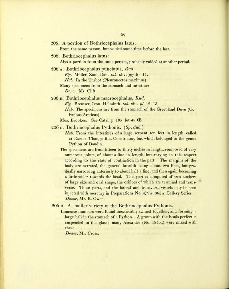 205. A portion of Bothriocephalus latus: From the same person, but voided some time before the last. 206. Bothriocephalus latus: Also a portion from the same person, probably voided at another period. 206 A. Bothriocephalus punctatus, Rud. Fig. Miiller, Zool. Dan. tab. xliv. fg. 5—11. Hab. In the Turbot (Pleuronectes maximus). Many specimens from the stomach and intestines. Bonor, Mr. CHft. 206 B. Bothriocephalus macrocephalus, Rud. Fig. Bremser, Icon. Helminth, tab. xiii. pi. 12. 13. Hab. The specimens are from the stomach of the Greenland Dove (Co- lymbus Arcticus). Mus. Brookes. See Catal. p. 105, lot 45 (E. 206 c. Bothriocephalus Pythonis. (Sp.dub.) Hab. From the intestines of a large serpent, ten feet in length, called at Exeter 'Change Boa Constrictor, but which belonged to the genus Python of Daudin. The specimens are from fifteen to thirty inches in length, composed of very numerous joints, of about a line in length, but varying in this respect according to the state of contraction in the part. The margins of the body are serrated, the general breadth being about two lines, but gra- dually narrowing anteriorly to about half a line, and then again becoming a little wider towards the head. This part is composed of two suckers of large size and oval shape, the orifices of which are terminal and trans- verse. These parts, and the lateral and transverse vessels may be seen injected with mercury in Preparations No. 479 a. 865 a. Gallery Series. Donor, Mr. R. Owen. 206 D. A smaller variety of the Bothriocephalus Pythonis. Immense numbers were found inextricably twined together, and forming a large ball in the stomach of a Python. A group with the heads perfect is suspended in the glass; many Ascarides (No. 185a.) were mixed with these. Donor, Mr. Cross.