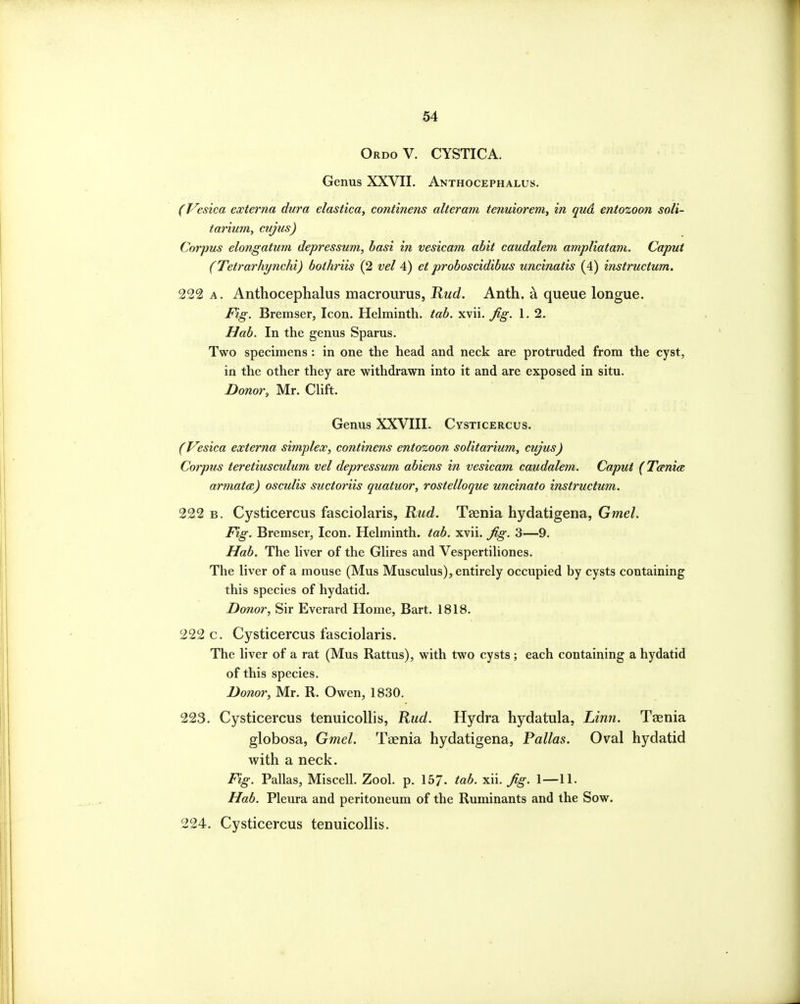 OrdoV. cystica. Genus XXVII. Anthocephalus. (Vesica externa dura elastica, continens alteram tenuiorem, in qud entozoon soli- tarimn, cujus) Corpus elongatum depressum, hasi in vesicam abit caudalem ampliatani. Caput (Tetrarhynchi) bothriis (2 4) et proboscidibus uncinatis (4) instructum. 222 a. Anthocephalus macrourus, ilwc?. Anth. a queue longue. Fig. Bremser, Icon. Helminth, tab. xvii. Jig. 1. 2. Hab. In the genus Spams. Two specimens : in one the head and neck are protruded from the cyst, in the other they are withdrawn into it and are exposed in situ. Donor, Mr. Clift. Genus XXVIII. Cysticercus. (Vesica externa simplex, continens entozoon solitarium, cujus) Corpus teretiusculum vel depressum abiens in vesicam caudalem. Caput (Tanige armata) osculis suctoriis quatuor, rostelloque uncinato instructum. 222 B. Cysticercus fasciolaris, ^ud. Taenia hydatigena, Gmel. Fig. Bremser, Icon. Helminth, tab. xvii. ^g. 3—9. Hab. The liver of the Glires and Vespertiliones. The liver of a mouse (Mus Musculus), entirely occupied by cysts containing this species of hydatid. Donor, Sir Everard Home, Bart. 1818. 222 c. Cysticercus fasciolaris. The liver of a rat (Mus Rattus), with two cysts ; each containing a hydatid of this species. Donor, Mr. R. Owen, 1830. 223. Cysticercus tenuicollis, Rud. Hydra hydatula, Li?in. Taenia globosa, Gmel. Taenia hydatigena, Pallas. Oval hydatid with a neck. Fig. Pallas, Miscell. Zool. p. 157. tab. xii. ^g. 1—11. Hab. Pleura and peritoneum of the Ruminants and the Sow. 224. Cysticercus tenuicollis.