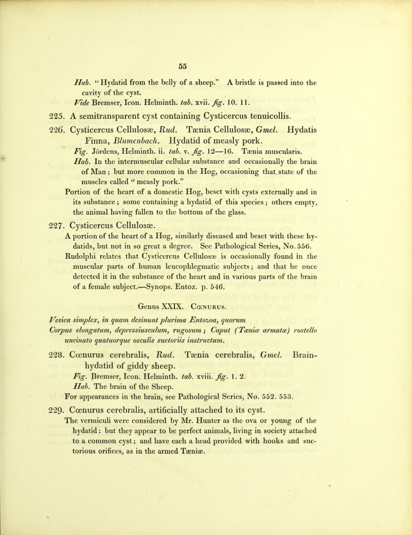 Hab.  Hydatid from the belly of a sheep. A bristle is passed into the cavity of the cyst. Vide Bremser, Icon. Helminth, tab. xvii. fig. 10. 11. 225. A semitransparent cyst containing Cysticercus tenuicollis. 226. Cysticercus Cellulosae, Kud. Taenia Cellulosae, Gmel. Hydatis Finna, Blmnenhach. Hydatid of measly pork. Fig. Jordens, Helminth, ii. tab. v. fig. 12—16. Taenia muscularis. Hab. In the intermuscular cellular substance and occasionally the brain of Man; but more common in the Hog, occasioning that, state of the muscles called  measly pork. Portion of the heart of a domestic Hog, beset with cysts externally and in its substance ; some containing a hydatid of this species ; others empty, the animal having fallen to the bottom of the glass. 227. Cysticercus Cellulosae. A portion of the heart of a Hog, similarly diseased and beset with these hy- datids, but not in so great a degree. See Pathological Series, No. 556. Rudolphi relates that Cysticercus Cellulosae is occasionally found in the muscular parts of human leucophlegmatic subjects; and that he once detected it in the substance of the heart and in various parts of the brain of a female subject.—Synops. Entoz. p. 546. Genus XXIX. Ccenurus. Vesica simplex, in quam desinunt plurima Entozoa, quorum Corpus elongatum, depressiusculum, rugosum; Caput (Tarda armata) rostello unchiato quatuorque osculis suctoriis instrucium. 228. Coenurus cerebralis, Rud. Taenia cerebralis, Gmel. Brain- hydatid of giddy sheep. Fig. Bremser, Icon. Helminth, tab. xviii. fig. 1.2. Hab. The brain of the Sheep. For appearances in the brain, see Pathological Series, No. 552. 553. 229. Coenurus cerebralis, artificially attached to. its cyst. The vermiculi were considered by Mr. Hunter as the ova or young of the hydatid: but they appear to be perfect animals, living in society attached to a common cyst; and have each a head provided with hooks and suc- torious orifices, as in the armed Taeniae.
