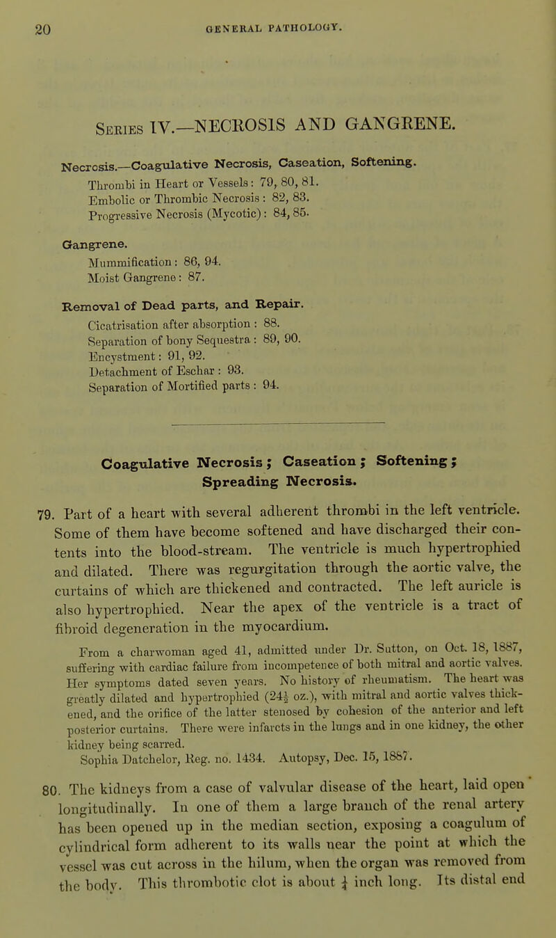 Series IV.—NECEOSIS AND GANGRENE. Necrosis. Coagulative Necrosis, Caseation, Softening. Thrombi in Heart or Vessels: 79, 80, 81. Embolic or Thrombic Necrosis : 82, 83. Progi-esaive Necrosis (Mycotic): 84,85. Gangrene. Mummification: 86, 94. Moist Gangrene: 87. Removal of Dead parts, and Repair. Cicatrisation after absorption : 88. Separation of bony Sequestra: 89, 90. Encystment: 91, 92. Detachment of Eschar : 93. Separation of Mortified parts : 94. Coagulative Necrosis ; Caseation ; Softening ; Spreading Necrosis. 79. Part of a heart with several adherent thrombi in the left ventricle. Some of them have become softened and have discharged their con- tents into the blood-stream. The ventricle is much hypertrophied and dilated. There was regurgitation through the aortic valve, the curtains of which are thickened and coiatracted. The left auricle is also hypertrophied. Near the apex of the ventricle is a tract of fibroid degeneration in the myocardium. From a charwoman aged 41, admitted under Dr. Sutton, on Oct. 18, 1887, suffering with cardiac faikire from incompetence of both mitral and aortic valves. Her symptoms dated seven years. No history of rheumatism. The heart was greatly dilated and hypertrophied (24i oz.), with mitral and aortic valves thick- ened, and the orifice of the latter stenosed by cohesion of the anterior and left posterior curtains. There were infarcts in the lungs and in one kidney, the other kidney being scaiTed. Sophia Datchelor, Keg. no. 1434. Autopsy, Dec. 15, 1887 . 80. The kidneys from a case of valvular disease of the hearty laid open longitudinally. In one of them a large branch of the renal artery has been opened up in the median section, exposing a coagulum of cylindrical form adherent to its walls near the point at which the vessel was cut across in the hilum, when the organ was removed from the body. This thrombotic clot is about ^ inch long. Its distal end