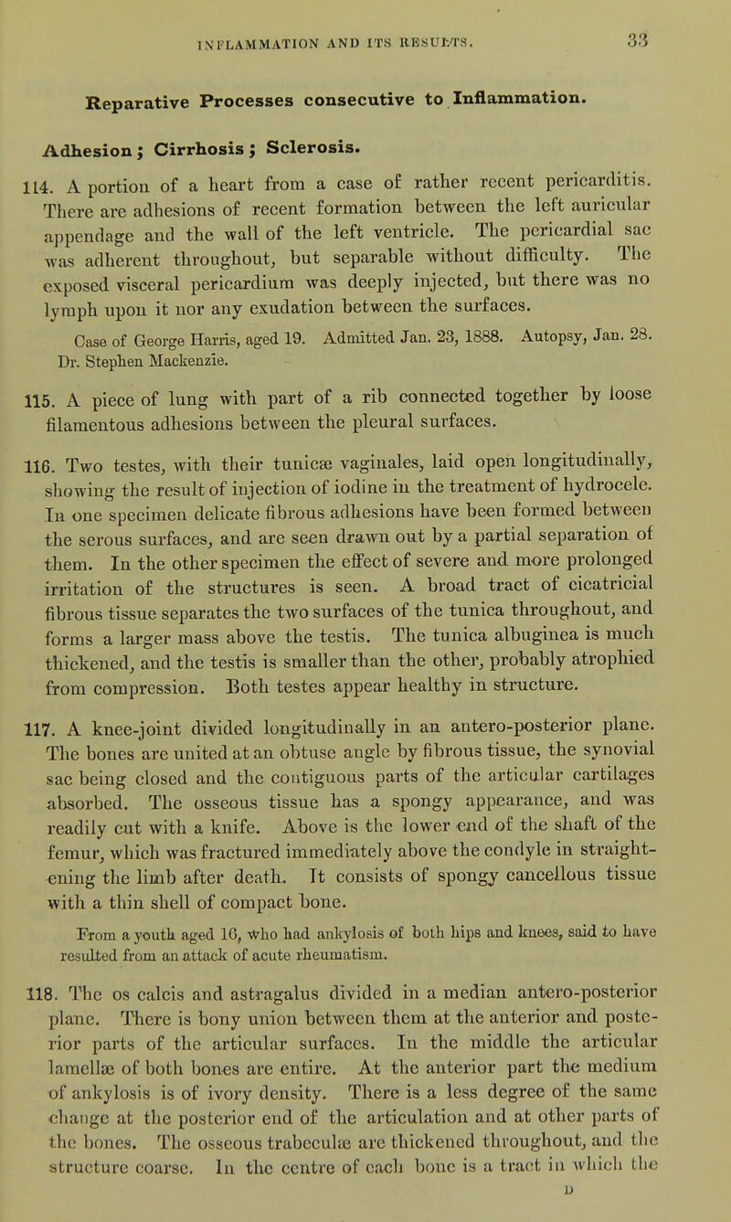 Reparative Processes consecutive to Inflammation. Adhesion; Cirrhosis; Sclerosis. 114. A portion of a heart from a case of rather recent pericarditis. There are adhesions of recent formation between the left auricular appendage and the wall of the left ventricle. The pericardial sac was adherent throughout, but separable without difficulty. The exposed visceral pericardium was deeply injected, but there was no lymph upon it nor any exudation between the surfaces. Case of George Harris, aged 19. Admitted Jan. 23, 1888, Autopsy, Jan. 28. Dr. Steplien Mackenzie. 115. A piece of lung with part of a rib connected together by loose filamentous adhesions between the pleural surfaces. 116. Two testes, with their tunicse vaginales, laid open longitudinally, showing the result of iujection of iodine in the treatment of hydrocele. In one specimen delicate fibrous adhesions have been formed between the serous surfaces, and are seen drawn out by a partial separation of them. In the other specimen the eflFect of severe and more prolonged irritation of the structures is seen. A broad tract of cicatricial fibrous tissue separates the two surfaces of the tunica throughout, and forms a larger mass above the testis. The tunica albuginea is much thickened, and the testis is smaller than the other, probably atrophied from compression. Both testes appear healthy in structure. 117. A knee-joint divided longitudinally in an antero-posterior plane. The bones are united at an obtuse angle by fibrous tissue, the synovial sac being closed and the contiguous parts of the articular cartilages absorbed. The osseous tissue has a spongy appearance, and was readily cut with a knife. Above is the lower end of the shaft of the femur, which was fractured immediately above the condyle in straight- ening the limb after death. It consists of spongy cancellous tissue with a thin shell of compact bone. Fxom a youtli aged IG, Who had ankylosis of both hips and knees, said to have residled from an attack of acute rheumatism. 118. The OS calcis and astragalus divided in a median antero-posterior plane. There is bony union between them at the anterior and poste- rior parts of the articular surfaces. In the middle the articular lamellffi of both bones are entire. At the anterior part the medium of ankylosis is of ivory density. There is a less degree of the same change at the posterior end of the articulation and at other parts of the bones. The osseous trabeculae are thickened throughout, and the structure coarse. In the centre of each bone is a tract in wliich the I)