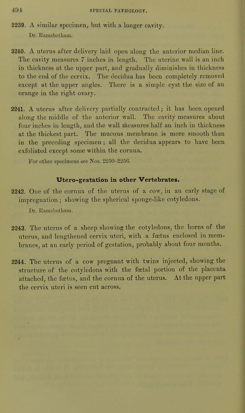 2239. A similar specimen, but with a longer cavity. Dr. Ramsbolham. 2240. A uterus after delivery laid open along tlie anterior median line. The cavity measures 7 inches in length. The uterine wall is an inch in thickness at the upper part, and gradually diminishes in thickness to the end of the cervix. The tiecidua has been completely removed except at the upper angles. There is a simple cyst the size of an orange in the right ovary. 2241. A uterus after delivery partially contracted; it has been opened along the middle of the anterior wall. The cavity measures about four inches in length, and the wall measures half an inch in thickness at the thickest part. The mucous membrane is more smooth than in the preceding specimen; all the decidua appears to have been, exfoliated except some within the cornua. For other specimens see Nos. 2250-2256. XJtero-gestation in other Vertebrates. 2242. One of the cornua of the uterus of a cow^ in an eai'ly stage of impregnation; showing the spherical sponge-like cotyledons. Dr. Ramsbotliam. 2243. The uterus of a sheep showing the cotyledons, the horns of the uteruS; and lengthened cervix uteri, with a foetus enclosed in mem- branes, at an early period of gestation, probably about four months. 2244. The uterus of a cow pregnant with twins injected, showing the structure of the cotyledons with the fcetal portion of the placenta attached, the foetus, and the cornua of the uterus. At the upper part the cervix uteri is seen cut across.
