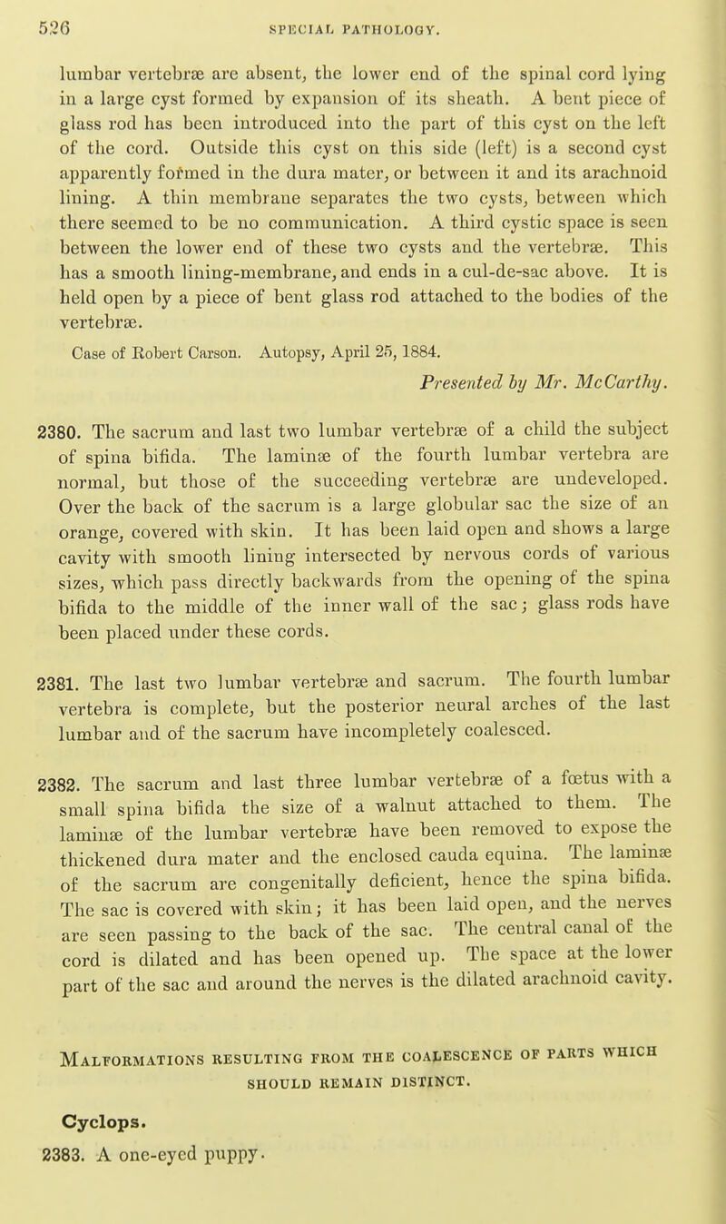 lumbar vertebrae are absent, the lower end of the spinal cord lying in a large cyst formed by expansion of its sheath. A bent piece of glass rod has been introduced into the part of this cyst on the left of the cord. Outside this cyst on this side (left) is a second cyst apparently formed in the dura mater, or between it and its arachnoid lining, A thin membrane separates the two cysts, between which there seemed to be no communication. A third cystic space is seen between the lower end of these two cysts and the vertebrae. This has a smooth lining-membrane, and ends in a cul-de-sac above. It is held open by a piece of bent glass rod attached to tlie bodies of the vertebree. Case of Robert Carson. Autopsy, April 25,1884. Presented hy Mr. McCarthy. 2380. The sacrum and last two lumbar vertebrae of a child the subject of spina bifida. The laminae of the fourth lumbar vertebra are normal, but those of the succeeding vertebrae are undeveloped. Over the back of the sacrum is a large globular sac the size of an orange, covered with skin. It has been laid open and shows a large cavity with smooth lining intersected by nervous cords of various sizes, which pass directly backwards from the opening of the spina bifida to the middle of the inner wall of the sac; glass rods have been placed under these cords. 2381. The last two lumbar vertebrae and sacrum. The fourth lumbar vertebra is complete, but the posterior neural arches of the last lumbar and of the sacrum have incompletely coalesced. 2382. The sacrum and last three lumbar vertebrae of a foetus with a small spina bifida the size of a walnut attacked to them. The lamina of the lumhar vertebrae have been removed to expose the thickened dura mater and the enclosed cauda equina. The laminae of the sacrum are congenitally deficient, hence the spina bifida. The sac is covered with skin; it has been laid open, and the nerves are seen passing to the back of the sac. The central canal of the cord is dilated and has been opened up. The space at the lower part of the sac and around the nerves is the dilated arachnoid cavity. Malt'ormations resulting from the coalescence of parts which should remain distinct. Cyclops. 2383. A one-eyed puppy.
