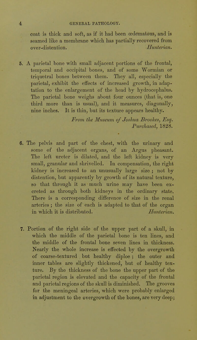 coat is thick and soft, as if it had been oedematous, and is seamed like a membrane which has partially recovered from over-distention. Ilunterian. 6. A parietal bone with small adjacent portions of the frontal, temporal and occipital bones, and of some Wormian or triquetral bones between them. They all, especially the parietal, exhibit the effects of increased growth, in adap- tation to the enlargement of the head by hydrocephalus. The parietal bone weighs about four ounces (that is, one third more than is usual), and it measures, diagonally, nine inches. It is thin, but its texture appears healthy. From the Museum of Joshua Brookes, Esq. Purchased, 1828. 6. The pelvis and part of the chest, with the urinary and some of the adjacent organs, of an Argus pheasant. The left ureter is dilated, and the left kidney is very small, granular and shrivelled. In compensation, the right kidney is increased to an unusually large size ; not by distention, but apparently by growth of its natural texture, so that through it as much urine may have been ex- creted as through both kidneys in the ordinary state. There is a corresponding difference of size in the renal arteries ; the size of each is adapted to that of the organ in which it is distributed. Ilunterian. 7. Portion of the right side of the upper part of a skull, in which the middle of the parietal bone is ten lines, and the middle of the frontal bone seven lines in thickness. Nearly the whole increase is effected by the overgrowth of coarse-textured but healthy diploe; the outer and inner tables are slightly thickened, but of healthy tex- ture. By the thickness of the bone the upper part of the parietal region is elevated and the capacity of the frontal and parietal regions of the skull is diminished. The grooves for the meningeal arteries, which were probably enlarged in adjustment to the overgrowth of the bones, are very deep;