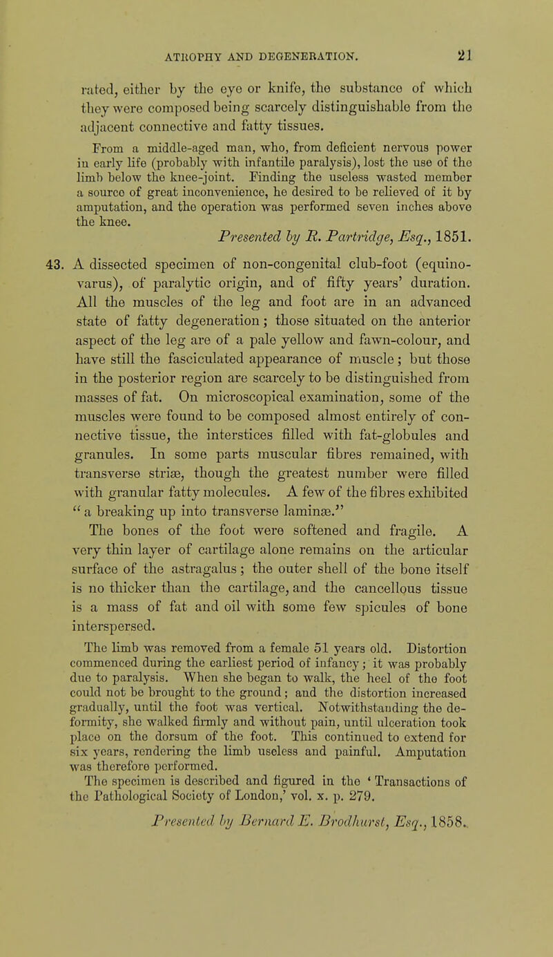 riited, eitliex- by the oye or knife, the substance of which they were composed being scarcely distinguishable from the adjacent connective and fatty tissues. From a middle-aged man, who, from deficient nervous power iu early life (probably with infantile paralysis), lost the use of the limb below the knee-joint. Finding the useless wasted member a source of great inconvenience, he desired to be relieved of it by amputation, and the operation was performed seven inches above the knee. Presented hy R. Partridge, Esq., 1851. 43. A dissected specimen of non-congenital club-foot (equino- varus), of paralytic origin, and of fifty years' duration. All the muscles of the leg and foot are in an advanced state of fatty degeneration; those situated on the anterior aspect of the leg are of a pale yellow and fawn-colour, and have still the fasciculated appearance of muscle; but those in the posterior region are scarcely to be distinguished from masses of fat. On microscopical examination, some of the muscles were found to be composed almost entirely of con- nective tissue, the interstices filled with fat-globules and granules. In some parts muscular fibres remained, with transverse strise, though the greatest number were filled with granular fatty molecules. A few of the fibres exhibited  a breaking up into transverse laminEe. The bones of the foot were softened and fragile. A very thin layer of cartilage alone remains on the articular surface of the astragalus; the outer shell of the bone itself is no thicker than the cartilage, and the cancellous tissue is a mass of fat and oil with some few spicules of bone interspersed. The limb was removed from a female 51 years old. Distortion commenced during the earliest period of infancy; it was probably due to paralysis. When she began to walk, the heel of the foot could not be brought to the ground; and the distortion increased gradually, until the foot was vertical. Notwithstanding the de- formity, she walked finnly and without pain, until ulceration took place on the dorsum of the foot. This continued to extend for six years, rendering the limb useless and painful. Amputation was therefore performed. The specimen is described and figured in the ' Transactions of the Pathological Society of London,' vol. x. p. 279. Presented by Bernard E. Brodhurst, Esq., 1858.