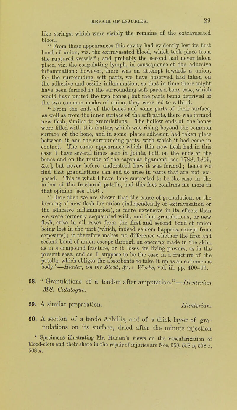 like strings, which were visibly the remains of the extravasated blood.  From these appearances this cavity had evidently lost its first bond of union, viz. the extravasated blood, which took place from the ruptured vessels * ; and probably tho second had never taken place, viz. the coagulating lymph, in consequence of tho adhesive inflammation: however, there was an attempt towards a union, for the surrounding soft parts, wo have observed, had taken on the adhesive and ossific inflammation, so that in time there might have been formed in the surrounding soft parts a bony case, which would have united the two bones; but the parts being deprived of tho two common modes of union, they were led to a third.  From the ends of the bones and some parts of their surface, as well as from the inner surface of the soft parts, there was formed new flesh, similar to granulations. The hollow ends of the bones were fiUed with this matter, which was rising beyond the common surface of the bone, and in some places adhesion had taken place between it and the surrounding parts, with which it had come in contact. The same appearance which this new flesh had in this case I have several times seen in joints, both on the ends of the bones and on the inside of the capsular ligament [see 1788, 1809, &c.], but never before understood how it was formed ; hence we find that granulations can and do arise in parts that are not ex- posed. This is what I have long suspected to be the case in the union of the fractured patella, and this fact confirms me more in that opinion [see 1056].  Here then we are shown that the cause of granulation, or the forming of new flesh for union (independently of extravasation or the adhesive inflammation), is more extensive in its efi'ects than we were formerly acquainted with, and that granulations, or new flesh, arise in all cases from the first and second bond of union being lost in the part (which, indeed, seldom happens, except from exposure); it therefore makes no difference whether the first and second bond of union escape through an opening made in the skin, as in a compound fracture, or it loses its living powers, as in the present case, and as I suppose to be the case in a fracture of the patella, which obliges the absorbents to take it up as an extraneous body.—Hunter, On the Blood, (Sfc: Worlcs, vol. iii. pp. 490-91. 58.  Granulations of a tendon after amputation.—Ilunterian MS. Catalogue. 69. A similar preparation. Ilunterian. 60. A section of a tendo Achillis, and of a thick layer of gra- nulations on its surface, dried after the minute injection • Specimens illustrating Mr. Hunter's views on the vascularization of blood-clots and their shave in the repair of iujuries are Nos. 558, 658 b, 558 c 568 A. '