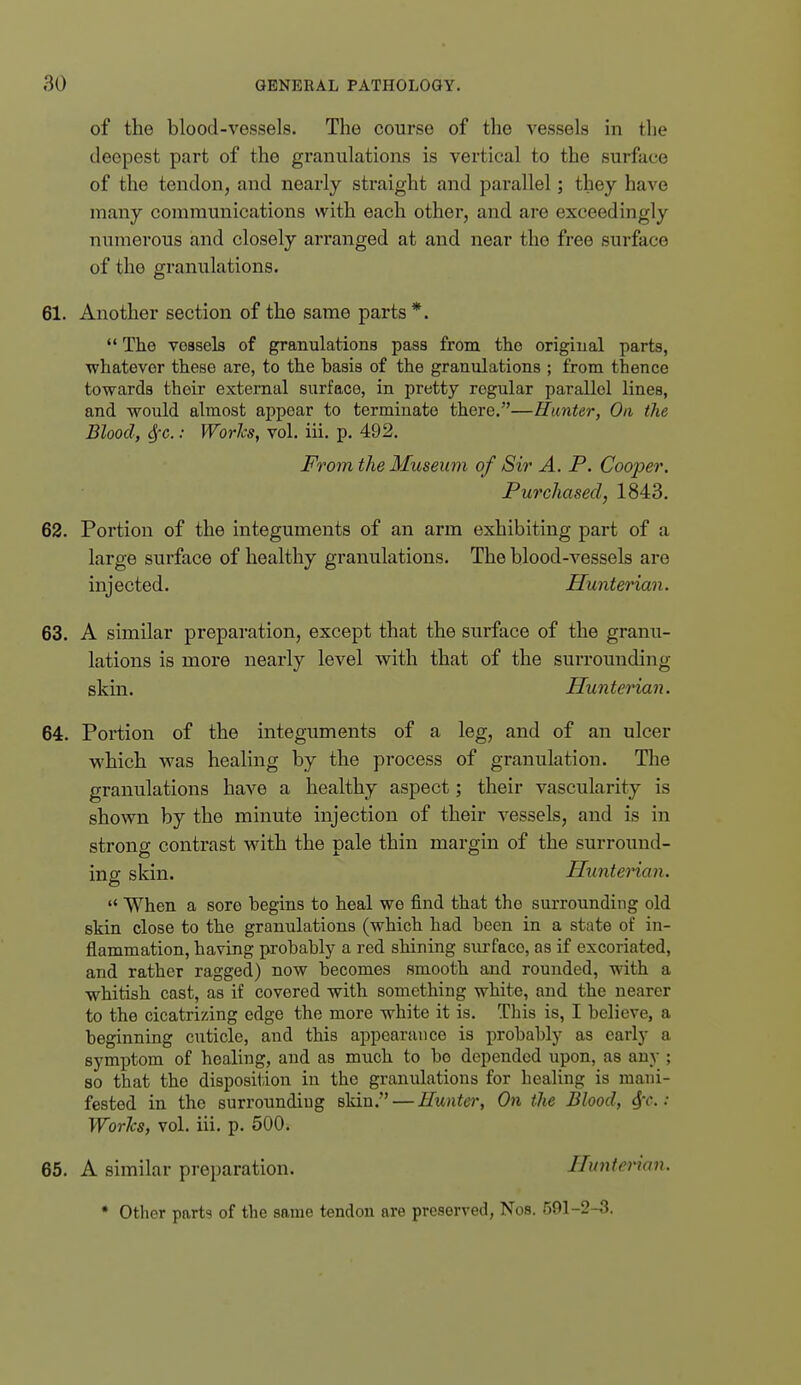 of the blood-vessels. The course of the vessels in the deepest part of the granulations is vertical to the surface of the tendon, and nearly straight and parallel; they have many communications with each other, and are exceedingly numerous and closely arranged at and near the free surface of the granulations. 61. Another section of the same parts*.  The vessels of granulations pass from the original parts, ■whatever these are, to the basis of the granulations ; from thence towards their external surface, in pretty regular parallel lines, and would almost appear to terminate there.—Hunter, On the Blood, 4'c.: WorJcs, vol. ill. p. 492. From the Museum of Sir A. P. Cooper. Purchased, 1843. 62. Portion of the integuments of an arm exhibiting part of a large surface of healthy granulations. The blood-vessels are injected. Hunterian. 63. A similar preparation, except that the surface of the granu- lations is more nearly level with that of the surrounding skin. Hunterian. 64. Portion of the integuments of a leg, and of an ulcer which was healing by the process of granulation. The granulations have a healthy aspect; their vascularity is shown by the minute injection of their vessels, and is in strong contrast with the pale thin margin of the surround- ing skin. Hunterian.  When a sore begins to heal we find that the surrounding old skin close to the granulations (which had been in a state of in- flammation, having probably a red shining siu-faco, as if excoriated, and rather ragged) now becomes smooth aud rounded, with a whitish cast, as if covered with something white, aud the nearer to the cicatrizing edge the more white it is. This is, I believe, a beginning cuticle, aud this appearance is probably as early a symptom of healing, and as much to bo depended upon, as any ; 80 that the disposiiion in the granulations for healing is mani- fested in the surrounding skin. — Hunter, On the Blood, ^t. : Works, vol. iii, p. 500. 65. A similar preparation. Hunterian. • Other parts of the same tendon are preserved, Nos. 591-2-3.