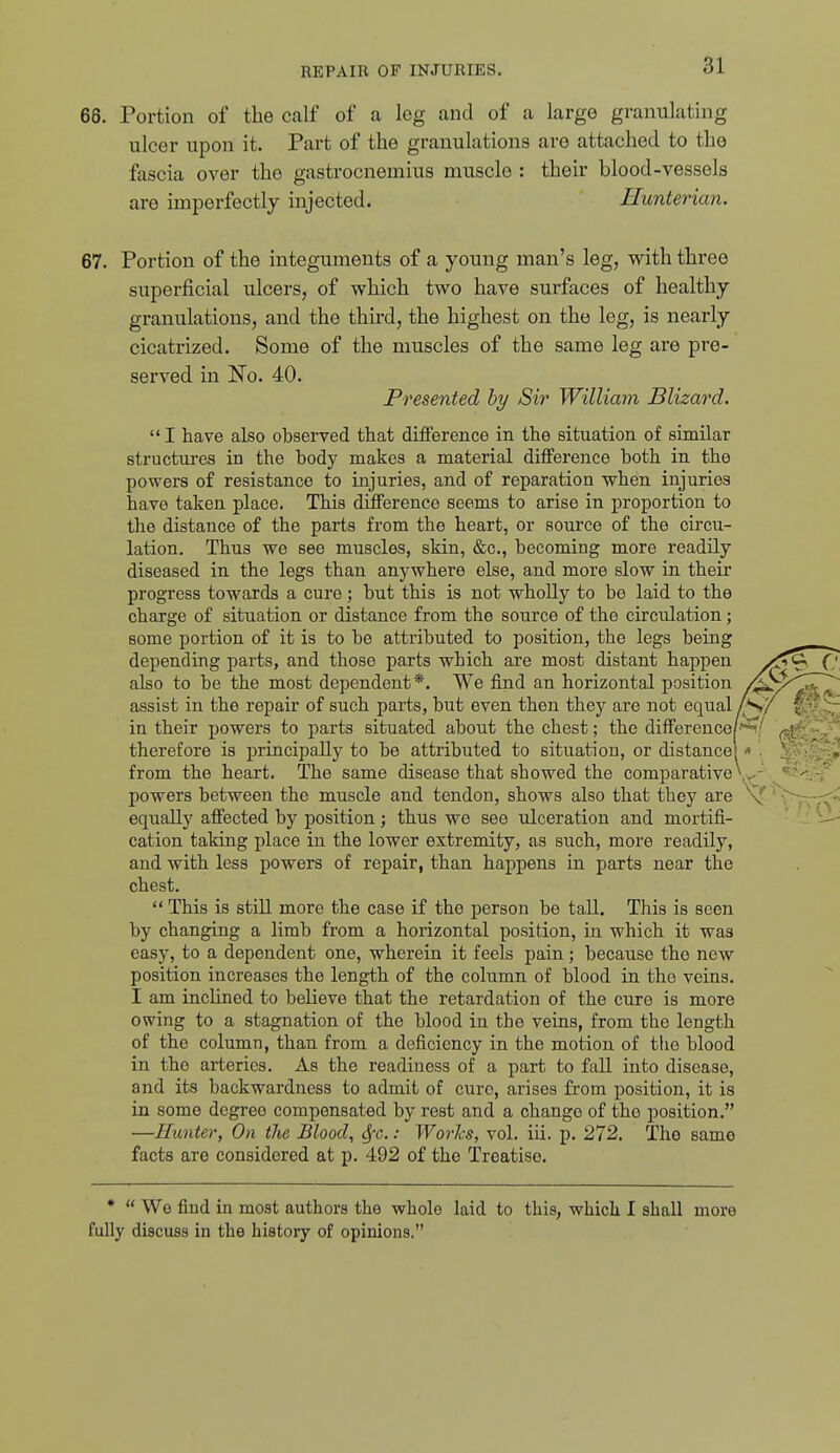 68. Portion of the calf of a leg and of a large granulating ulcer upon it. Part of the granulations are attached to the fascia over the gastrocnemius muscle : their blood-vessels are imperfectly injected. Hunterian. 67. Portion of the integuments of a young man's leg, with three superficial ulcers, of which two have surfaces of healthy granulations, and the third, the highest on the leg, is nearly cicatrized. Some of the muscles of the same leg are pre- served in No. 40. Presented hy Sir William Blizard.  I have also observed that difference in the situation of similar structures in the body makes a material difference both in the powers of resistance to injuries, and of reparation when injuries have taken place. This difference seems to arise in proportion to the distance of the parts from the heart, or source of the circu- lation. Thus we see muscles, skin, &c., becoming more readily diseased in the legs than anywhere else, and more slow in their progress towards a cure; but this is not whoUy to be laid to the charge of situation or distance from the source of the circidation; some portion of it is to be attributed to position, the legs being depending parts, and those parts which are most distant happen also to be the most dependent*. We find an horizontal position assist in the repair of such parts, but even then they are not equal in their powers to parts situated about the chest; the difference therefore is principally to be attributed to situation, or distance from the heart. The same disease that showed the comparative powers between the muscle and tendon, shows also that they are equally affected by position j thus we see ulceration and mortifi- cation taking place in the lower extremity, as such, more readily, and with less powers of repair, than happens in parts near the chest.  This is still more the case if the person be tall. This is seen by changing a limb from a horizontal position, iu which it was easy, to a dependent one, wherein it feels pain; because the new position increases the length of the column of blood in the veins. I am inchned to believe that the retardation of the cure is more owing to a stagnation of the blood in the veins, from the length of the column, than from a deficiency in the motion of the blood in the arteries. As the readiness of a part to fall into disease, and its backwardness to admit of euro, arises from position, it is in some degree compensated by rest and a change of the position. —Hunter, On the Bloody 6fc.: Worhs, vol. iii. p. 272. The same facts are considered at p. 492 of the Treatise. •  We find in most authors the whole laid to this, which I shall more fully discuss in the history of opinions.