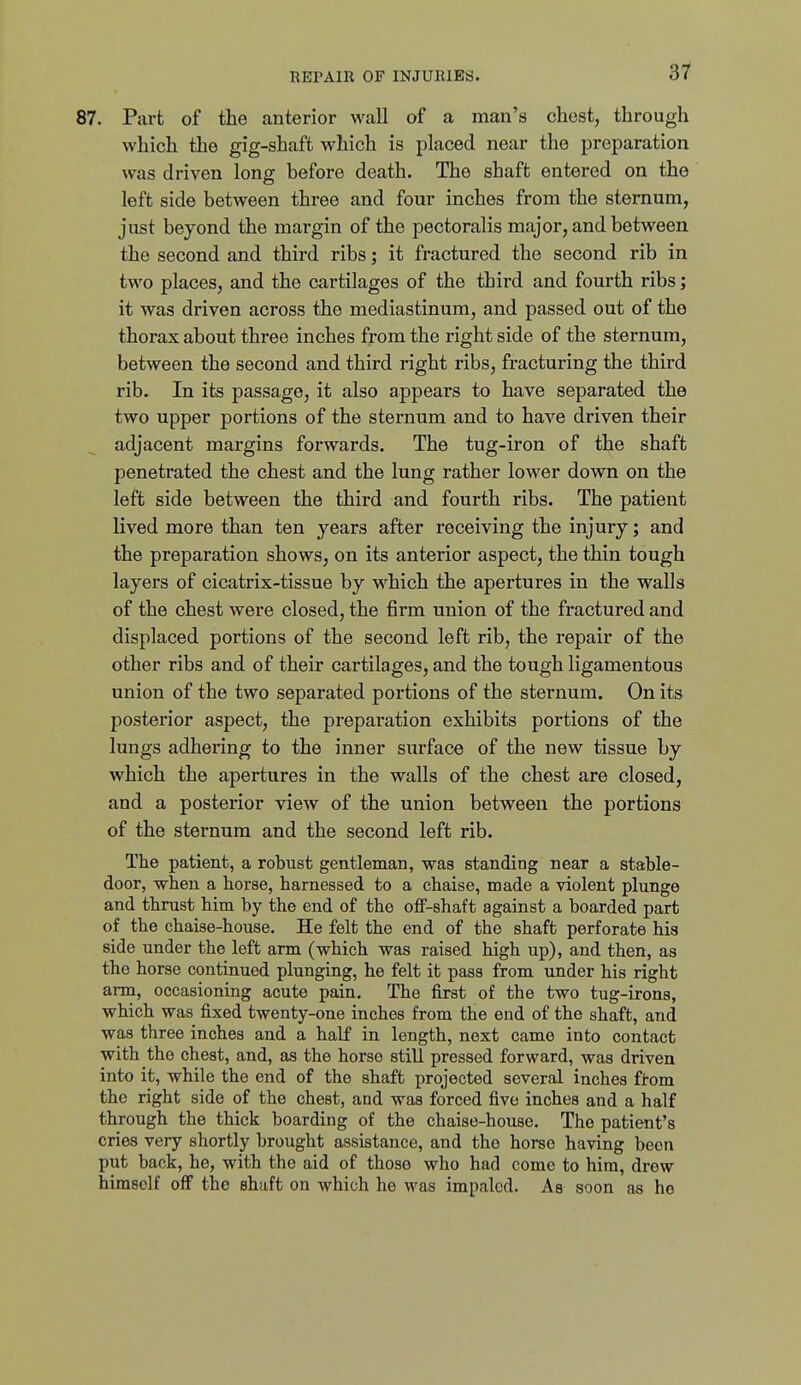 . Part of the anterior wall of a man's chest, through which the gig-shaft which is placed near the preparation was driven long before death. The shaft entered on the left side between three and four inches from the sternum, just beyond the margin of the pectoralis major, and between the second and third ribs; it fractured the second rib in two places, and the cartilages of the third and fourth ribs; it was driven across the mediastinum, and passed out of the thorax about three inches fi-om the right side of the sternum, between the second and third right ribs, fracturing the third rib. In its passage, it also appears to have separated the two upper portions of the sternum and to haA^e driven their adjacent margins forwards. The tug-iron of the shaft penetrated the chest and the lung rather lower down on the left side between the third and fourth ribs. The patient lived more than ten years after receiving the injury; and the preparation shows, on its anterior aspect, the thin tough layers of cicatrix-tissue by which the apertures in the walls of the chest were closed, the firm union of the fractured and displaced portions of the second left rib, the repair of the other ribs and of their cartilages, and the tough ligamentous union of the two separated portions of the sternum. On its posterior aspect, the preparation exhibits portions of the lungs adhering to the inner surface of the new tissue by which the apertures in the walls of the chest are closed, and a posterior view of the union between the portions of the sternum and the second left rib. The patient, a robust gentleman, was standing near a stable- door, wlieu a horse, harnessed to a chaise, made a violent plunge and thrust him by the end of the ofF-shaft against a boarded part of the chaise-house. He felt the end of the shaft perforate his side under the left arm (which was raised high up), and then, as the horse continued plunging, he felt it pass from under his right arm, occasioning acute pain. The first of the two tug-irons, which was fixed twenty-one inches from the end of the shaft, and was three inches and a half in length, next came into contact with the chest, and, as the horse still pressed forward, was driven into it, while the end of the shaft projected several inches from the right side of the chest, and was forced five inches and a half through the thick boarding of the chaise-house. The patient's cries very shortly brought assistance, and the horse having been put back, he, with the aid of those who had come to him, drew himself off the shaft on which he was impaled. As soon as ho