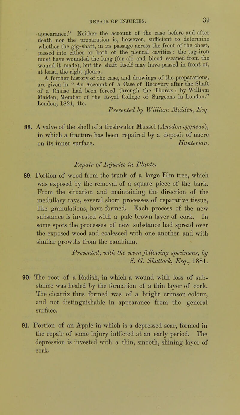 appearance. Neither the account of the case before and after death nor the preparation is, however, sufficient to determine whether the gig-shaft, in its passage across the front of the chest, passed into either or both of the pleural cavities : the tug-iron must have wounded the lung (for air and blood escaped from the wound it made), but the shaft itself may have passed in front of, at least, the right pleura. A further history of the case, and drawings of the preparations, are given in  An Account of a Case of Eecovery after the Shaft of a Chaise had been forced through the Thorax ; by William Maiden, Member of the Eoyal College of Surgeons in London. London, 1824, 4to. Presented by William Maiden, Esq. 88. A valve of the shell of a freshwater Mussel [Anodon cygneus), in which a fracture has been repaired by a deposit of nacre on its inner surface. Hunterian. Repair of Injuries in Plants. 89. Portion of wood from the trunk of a large Elm tree, which was exposed by the removal of a square piece of the bark. From the situation and maintaining the direction of the medullary rays, several short processes of reparative tissue, hke granulations, have formed. Each process of the new substance is invested with a pale brown layer of cork. In some spots the processes of new substance had spread over the exposed wood and coalesced with one another and with similar growths from the cambium. Presented, with the seven following specimens, by S. G. Shattock, Esq., 1881. 90. The root of a Radish, in which a wound with loss of sub- stance was healed by the formation of a thin layer of cork. The cicatrix thus formed was of a bright crimson colour, and not distinguishable in appearance from the general surface. 91. Portion of an Apple in which is a depressed scar, formed in the repair of some injury inflicted at an early period. The depression is invested with a thin, smooth, shining layer of cork.