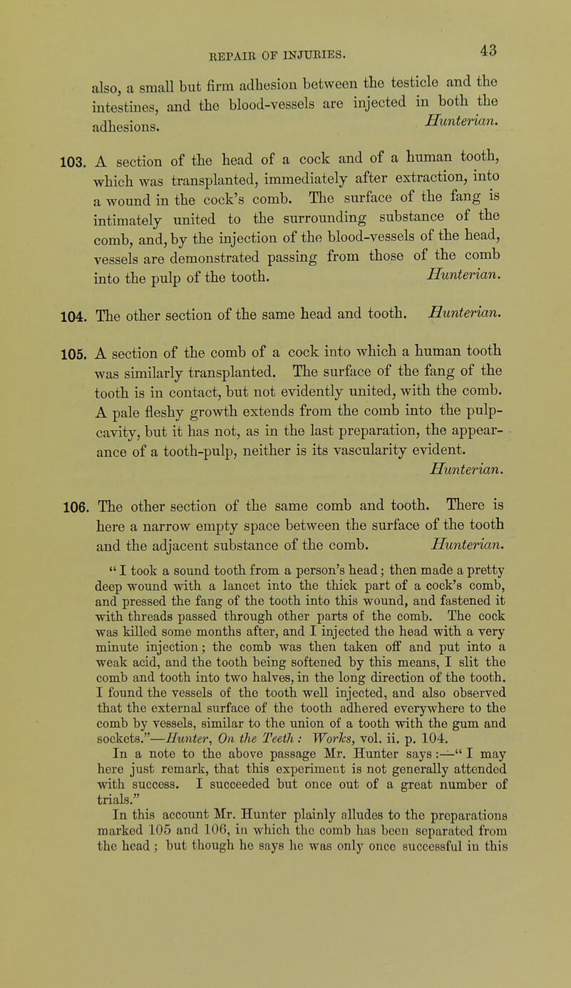 also, a smaU but firm adhesion between the testicle and the intestines, and the blood-vessels are injected in both the adhesions. Hunterian. 103. A section of the head of a cock and of a human tooth, which was transplanted, immediately after extraction, into a wound in the cock's comb. The surface of the fang is intimately united to the surrounding substance of the comb, and, by the injection of the blood-vessels of the head, vessels are demonstrated passing from those of the comb into the pulp of the tooth. Hunterian. 104. The other section of the same head and tooth. Hunterian. 105. A section of the comb of a cock into which a human tooth was similarly transplanted. The surface of the fang of the tooth is in contact, but not evidently united, with the comb. A pale fleshy growth extends from the comb into the pulp- cavity, but it has not, as in the last preparation, the appear- ance of a tooth-pulp, neither is its vascularity evident. Hunterian. 106. The other section of the same comb and tooth. There is here a narrow empty space between the surface of the tooth and the adjacent substance of the comb. Hunterian.  I took a sound tooth from a person's head; then made a pretty deep wound with a lancet into the thick part of a cock's comb, and pressed the fang of the tooth into this wound, and fastened it with threads passed through other parts of the comb. The cock was killed some months after, and I injected the head with a very minute injection; the comb was then taken off and put into a weak acid, and the tooth being softened by this means, I slit the comb and tooth into two halves, in the long direction of the tooth. I found the vessels of the tooth well injected, and also observed that the external surface of the tooth adhered everywhere to the comb by vessels, similar to the union of a tooth with the gum and sockets,—Hunter^ On the Teeth: Works, vol. ii. p. 104. In a note to the above passage Mr. Hunter says:— I may here just remark, that this experiment is not generally attended with success. I succeeded but once out of a great number of trials, In this account Mr. Hunter plainly alludes to the preparations marked 105 and 106, in which the comb has been separated from the head ; but though he says he was only once successful in this