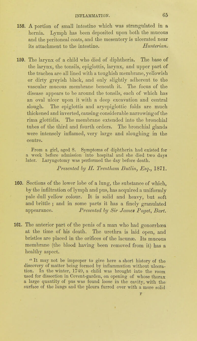 158. A portion of small intestine which was strangulated in a hernia. Lymph has been deposited upon both the mucous and the peritoneal coats, and the mesentery is ulcerated near its attachment to the intestine. Hunterian. 159. The larynx of a child who died of diphtheria. The base of the lar}Tix, the tonsils, epiglottis, laiynx, and upper part of the trachea are all lined with a toughish membrane, yellowish or dirty greyish black, and only slightly adherent to the vascular mucous membrane beneath it. The focus of the disease appears to be around the tonsils, each of which has an oval ulcer upon it with a deep excavation and central slough. The epiglottis and aryepiglottic folds are much thickened and inverted, causing considerable narrowing of the rima glottidis. The membrane extended into the bronchial tubes of the third and fourth orders. The bronchial glands were intensely inflamed, very large and sloughing in the centre. From a girl, aged 8. Symptoms of diphtheria had existed for a week before admission into hospital and she died two days later. Laryngotomy was performed the day before death. Presented hy H. Trentham Butlin, Esq., 1871. 160. Sections of the lower lobe of a lung, the substance of which, by the infiltration of lymph and pus, has acquired a uniformly pale dull yellow colour. It is solid and heavy, but soft and brittle ; and in some parts it has a finely granulated appearance. Presented hy Sir James Paget, Bart. 161. The anterior part of the penis of a man who had gonorrhoea at the time of his death. The urethra is laid open, and bristles are placed in the orifices of the lacunae. Its mucous membrane (the blood having been removed from it) has a healthy aspect.  It may not be improper to give here a short history of the discovery of matter being formed by inflammation without ulcera- tion. In the winter, 1749, a child was brought into the room used for dissection in Covent-garden, on opening of whoso thorax a large quantity of pus was found loose in the cavity, with the surface of the lungs and the pleura furred over with a more solid F I