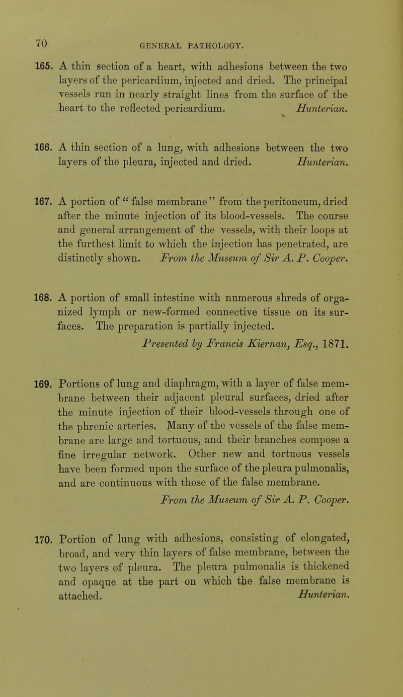 165. A thin section of a heart, with adhesions between the two layers of the pericardium, injected and dried. The principal vessels run in nearly straight lines from the surface of the heart to the reflected pericardium. Hunterian. 166. A thin section of a lung, with adhesions between the two layers of the pleura, injected and dried. Hunterian. 167. A portion of  false membrane  from the peritoneum, dried after the minute injection of its blood-vessels. The course and general arrangement of the vessels, with their loops at the furthest limit to which the injection has penetrated, are distinctly shown. From the Museum of Sir A. P. Cooper. 168. A portion of small intestine with numerous shreds of orga- nized lymph or new-formed connective tissue on its sur- faces. The preparation is partially injected. Presented by Francis Kiernan, Esq., 1871. 169. Portions of lung and diaphragm, with a layer of false mem- brane between their adjacent pleural surfaces, dried after the minute injection of their blood-vessels through one of the phrenic arteries. Many of the vessels of the false mem- brane are large and tortuous, and their branches compose a fine irregular network. Other new and tortuous vessels have been formed upon the surface of the pleura pulmonalis, and are continuous with those of the false membrane. From the Museum of Sir A. P. Cooper. 170. Portion of lung with adhesions, consisting of elongated, broad, and very thin layers of false membrane, between the two layers of pleura. The pleura pulmonalis is thickened and opaque at the part on which the false membrane is attached. Hunterian.