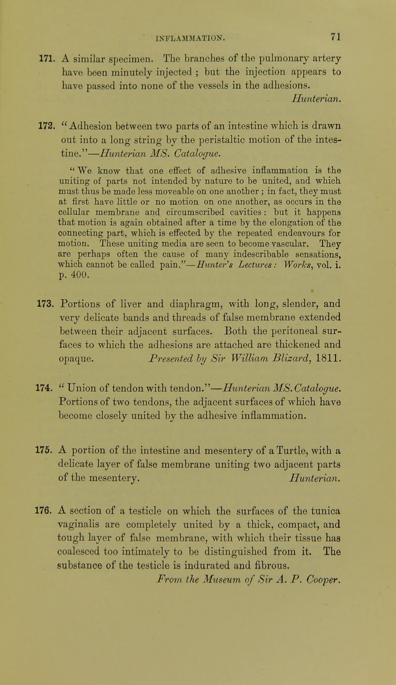 171. A similar specimen. The branches of the pulmonary artery- have been minutely injected ; but the injection appears to have passed into none of the vessels in the adhesions. Hunterian. 172.  Adhesion between two parts of an intestine which is drawn out into a long string by the peristaltic motion of the intes- tine.—Huntenan MS. Catalogue.  We know that one effect of adhesive inflammatioQ is the uniting of parts not intended by nature to be united, and which must thus be made less moveable on one another; in fact, they must at first have little or no motion on one another, as occiirs in the cellular membrane and circumscribed cavities : but it happens that motion is again obtained after a time by the elongation of the connecting part, which is effected by the repeated endeavours for motion. These uniting media are seen to become vascular. They are perhaps often the cause of many indescribable sensations, which cannot be called pain.—Hunter's Lectures: Works, vol. i. p. 400. 173. Portions of liver and diaphragm, with long, slender, and very delicate bands and threads of false membrane extended between their adjacent surfaces. Both the peritoneal sur- faces to which the adhesions are attached are thickened and opaque. Presented hy Sir William Blizard, 1811. 174.  Union of tendon with tendon.—Hunterian MS. Catalogue. Portions of two tendons, the adjacent surfaces of which have become closely united by the adhesive inflammation. 175. A portion of the intestine and mesentery of a Turtle, with a delicate layer of false membrane uniting two adjacent parts of the mesentery. Hunterian. 176. A section of a testicle on which the surfaces of the tunica vaginalis are completely united by a thick, compact, and tough layer of :l^ilse membrane, with which their tissue has coalesced too intimately to be distinguished from it. The substance of the testicle is indurated and fibrous. From the Museum of Sir A. P. Cooper.