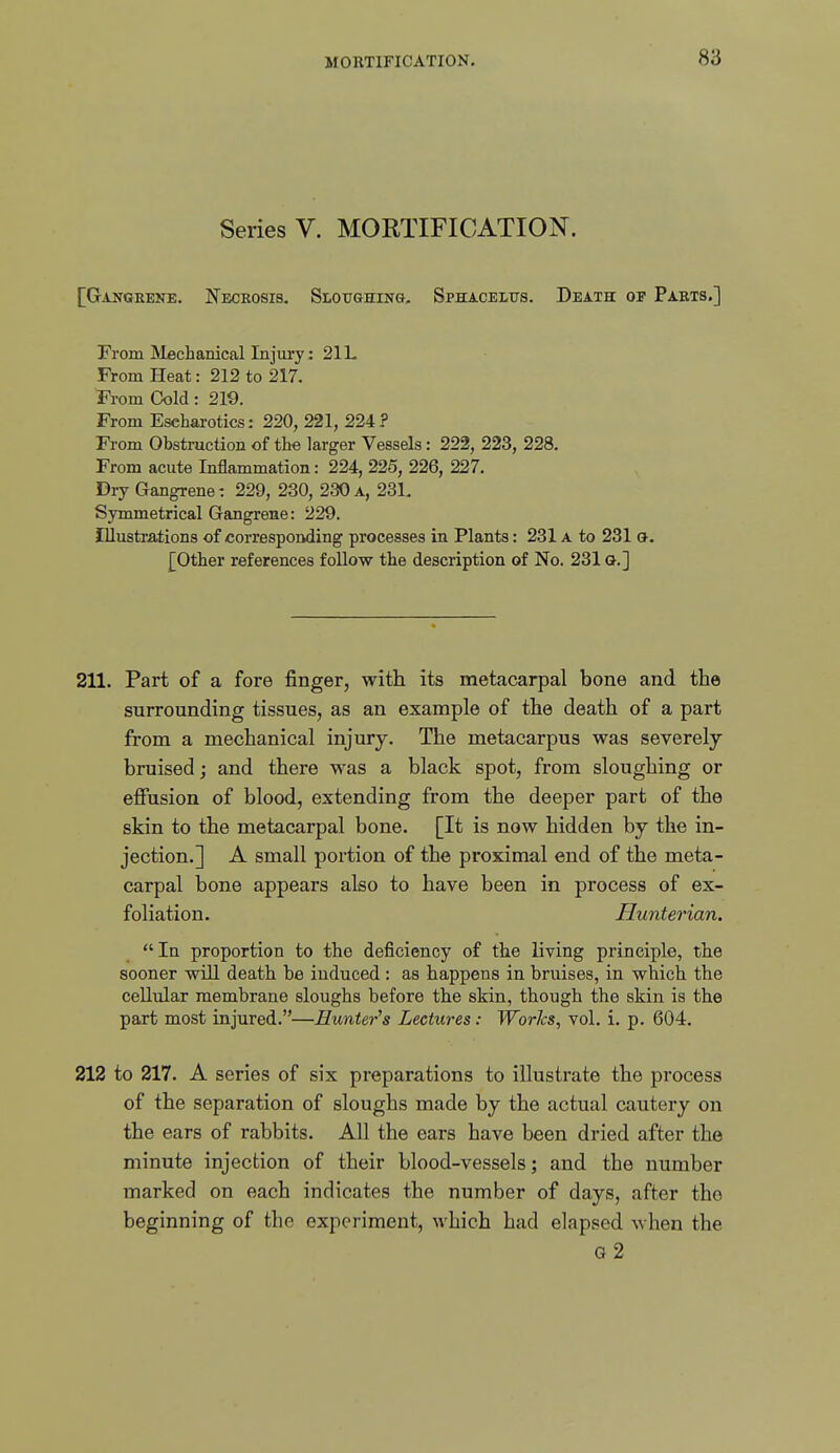 Series V. MORTIFICATION. [Gangeeke. Neceosis. Sloitghing. Sphaceltts. Death of Paets.] From ]\leclianical Injury: 21L From Pleat: 212 to 217. ■From Cold: 219. From Eseharotics: 220, 221, 224? From Obstruction of the larger Vessels: 222, 223, 228. From acute Inflammation: 224, 225, 226, 227. Diy Gangrene: 229, 230, 230 a, 231. Symmetrical Gangrene: 229. Illustrations of corresponding processes in Plants: 231 a to 231 a. £Otlier references follow tlie description of No. 231G.] 211. Part of a fore finger, with its metacarpal bone and the surrounding tissues, as an example of the death of a part from a mechanical injury. The metacarpus was severely bruised; and there was a black spot, from sloughing or effusion of blood, extending from the deeper part of the skin to the metacarpal bone. [It is now hidden by the in- jection.] A small portion of the proximal end of the meta- carpal bone appears also to have been in process of ex- foliation. Hunterian.  In proportion to the deficiency of the living principle, the sooner will death be induced : as happens in bruises, in which the cellular membrane sloughs before the skin, though the skin is the part most injured.—Hunter's Lectures: Worlcs, vol. i. p. 604. 212 to 217. A series of six preparations to illustrate the process of the separation of sloughs made by the actual cautery on the ears of rabbits. All the ears have been dried after the minute injection of their blood-vessels; and the number marked on each indicates the number of days, after the beginning of the experiment, which had elapsed when the G 2