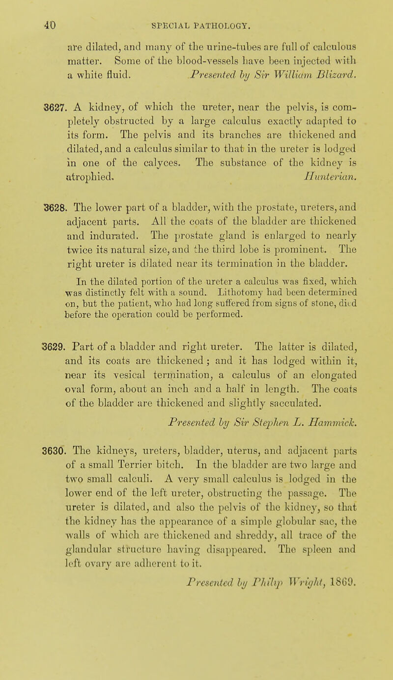 are dilated, and iTnmy of tlie urine-tubes are full of calculous matter. Some of the blood-A'essels have been injected with a white fluid. Presented by Sir William Blizard. 8627. A kidney, of which the ureter, near the pelvis, is com- pletely obstructed by a large calculus exactly adapted to its form. The pelvis and its branches are thickened and dilated, and a calculus similar to that in the ureter is lodged in one of the calyces. The substance of the kidney is atrophied, Ilunterian. 3628. The lower part of a bladder, with the prostate, ureters, and adjacent parts. All the coats of the bladder are thickened aud indurated. The prostate gland is enlarged to nearly twice its natural size, and the third lobe is prominent. The right ureter is dilated near its termination in the bladder. In the dilated portion of the ureter a calculus was fixed, which was distinctly felt with a sound. Lithotomy had been determined on, but the patient, who had long suffered from signs of stone, died before the operation could be performed. 3629. Part of a bladder and right ureter. The latter is dilated, and its coats are thickened; and it has lodged within it, near its vesical termination, a calculus of an elongated oval form, about an inch and a half in length. The coats of the bladder are thickened and slightly sacculated. Presented hy Sir Stephen L. Hammich. 3630. The kidneys, ureters, bladder, uterus, and adjacent parts of a small Terrier bitch. In the bladder are two large aud two small calculi. A very small calculus is lodged in the lower end of the left ureter, obstructing the passage. The ureter is dilated, and also the pelvis of the kidney, so that the kidney has the appearance of a simple globular sac, the Avails of which are thickened and shreddy, all trace of the glandular structure having disappeared. The spleen and left ovary are adherent to it. Presented hy Philip Wright, 1869.