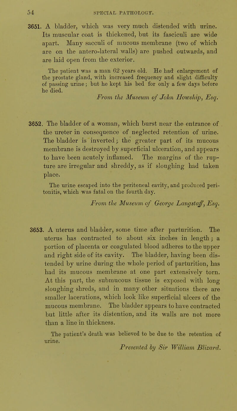 3651. A bladder, which was very much distended with urine. Its muscular coat is thickened, but its fasciculi are wide apart. Many sacculi of mucous membrane (two of which are on the antero-lateral walls) are pushed outwards, and are laid open from the exterior. The patient was a man 62 years old. He had enlargement of the prostate gland, with increased frequency and slight difficulty of passing urine; but he kept his bed for only a few days before he died. From the Museum of John Uowship, Esq. 3652. The bladder of a woman, which burst near the entrance of the ureter in consequence of neglected retention of urine. The bladder is inverted y the greater part of its mucous membrane is destroyed by superficial ulceration, and appears to have been acutely inflamed. The margins of the rup- ture are irregular and shreddy, as if sloughing had taken place. The urine escaped into the peritoneal cavity, and i^roduced peri- tonitis, which was fatal on the fourth day. From the Museum of George Langstaff, Esq. 3653. A uterus and bladder, some time after parturition. The uterus has contracted to about six inches in length; a portion of placenta or coagulated blood adheres to the upper and right side of its cavity. The bladder, having been dis- tended by urine during the whole period of parturition, has had its mucous membrane at one part extensively torn. At this part, the submucous tissue is exposed with long sloughing shreds, and in many other situations there are smaller lacerations, which look like superficial ulcers of the mucous membrane. The bladder appears to have contracted but little after its distention, and its walls are not more than a line in thickness. The patient's death was believed to be due to the retention of urine. Presented by Sir Williain Blizard.