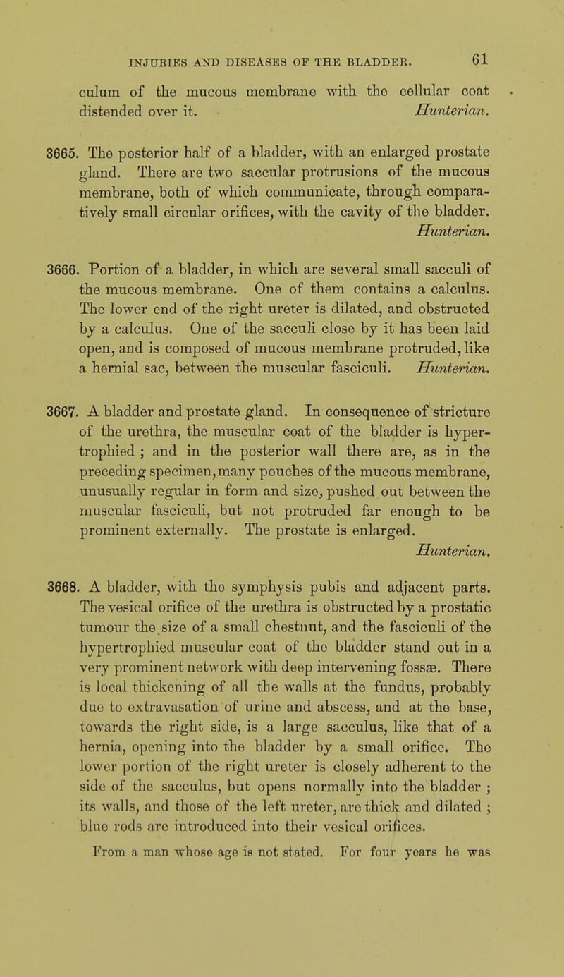 culum of the mucous membrane with the cellular coat distended over it. Hunterian. 3665. The posterior half of a bladder, with an enlarged prostate gland. There are two saccular protrusions of the mucous membrane, both of which communicate, through compara- tively small circular orifices, with the cavity of the bladder. Hunterian. 3666. Portion of a bladder, in which are several small sacculi of the mucous membrane. One of them contains a calculus. The lower end of the right ureter is dilated, and obstructed by a calculus. One of the sacculi close by it has been laid open, and is composed of mucous membrane protruded, like a hernial sac, between the muscular fasciculi. Hunterian. 3667. A bladder and prostate gland. In consequence of stricture of the urethra, the muscular coat of the bladder is hyper- trophied ; and in the posterior wall there are, as in the preceding specimen, many pouches of the mucous membrane, unusually regular in form and size, pushed out between the muscular fasciculi, but not protruded far enough to be prominent externally. The prostate is enlarged. Hunterian. 3668. A bladder, with the symphysis pubis and adjacent parts. The vesical orifice of the urethra is obstructed by a prostatic tumour the. size of a small chestnut, and the fasciculi of the hypertrophied muscular coat of the bladder stand out in a very prominent network with deep intervening fossae. There is local thickening of all the walls at the fundus, probably due to extravasation of urine and abscess, and at the base, towards the right side, is a large sacculus, like that of a hernia, opening into the bladder by a small orifice. The lower portion of the right ureter is closely adherent to the side of the sacculus, but opens normally into the bladder ; its walls, and those of the left ureter, are thick and dilated ; blue rods are introduced into their vesical orifices. From a man whoso age is not stated. For four years he was
