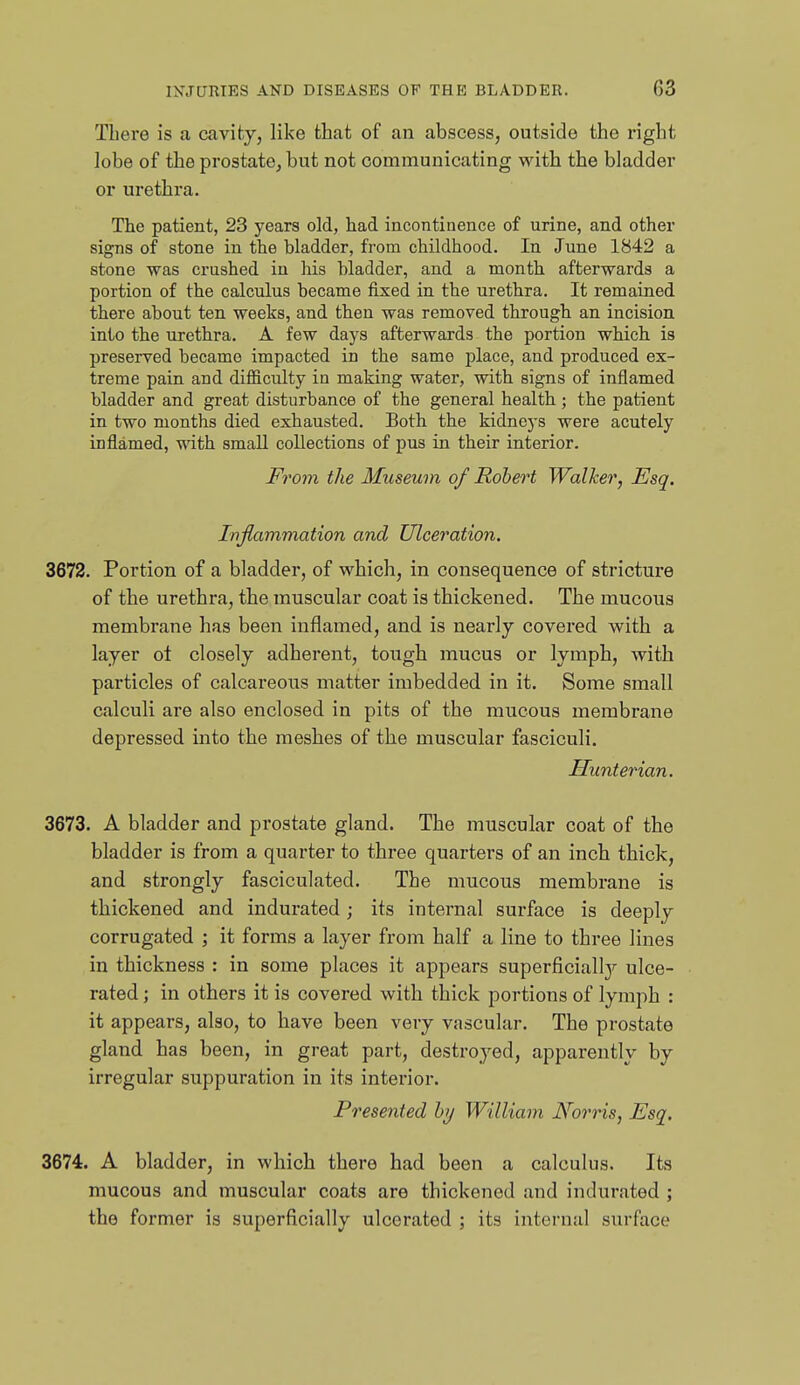 There is a cavity, like that of an abscess, outside the right lobe of the prostate, but not communicating with the bladder or urethra. The patient, 23 years old, had incontinence of urine, and other signs of stone in the bladder, from childhood. In June 1842 a stone was crushed in his bladder, and a month afterwards a portion of the calculus became fixed in the urethra. It remained there about ten weeks, and then was removed through an incision into the urethra. A few days afterwards the portion which is preserved became impacted in the same place, and produced ex- treme pain and difficulty in making water, with signs of inflamed bladder and great disturbance of the general health; the patient in two months died exhausted. Both the kidneys were acutely inflamed, with small collections of pus in their interior. From the Museum of Robert Walker, Esq. Ivjlammation and Ulceration. 3672. Portion of a bladder, of which, in consequence of stricture of the urethra, the muscular coat is thickened. The mucous membrane has been inflamed, and is nearly covered with a layer ol closely adherent, tough mucus or lymph, with particles of calcai'eous matter imbedded in it. Some small calculi are also enclosed in pits of the mucous membrane depressed into the meshes of the muscular fasciculi. Hunterian. 3673. A bladder and prostate gland. The muscular coat of the bladder is from a quarter to three quarters of an inch thick, and strongly fasciculated. The mucous membrane is thickened and indurated; its internal surface is deeply corrugated ; it forms a layer from half a line to three lines in thickness : in some places it appears superficiall]'- ulce- rated ; in others it is covered with thick portions of lymph : it appears, also, to have been very vascular. The prostate gland has been, in great part, destroyed, apparently by irregular suppuration in its interior. Presented by William Norris, Esq. 3674. A bladder, in which there had been a calculus. Its mucous and muscular coats are thickened and indurated ; the former is superficially ulcerated ; its internal surface