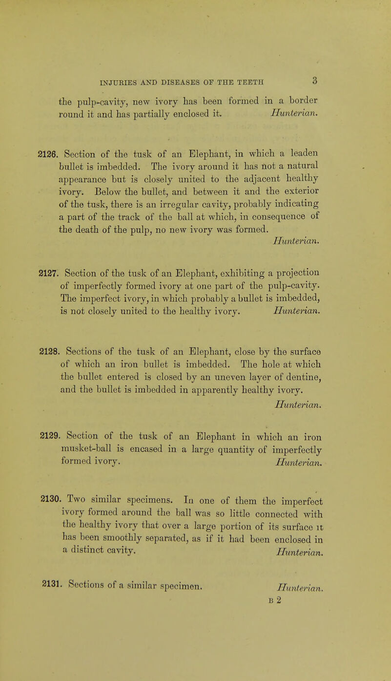 the pulp-cavity, new ivory has been formed in a border round it and has partially enclosed it. Hunterian. 2126. Section of the tusk of an Elephant, in which a leaden bullet is imbedded. The ivory around it has not a natural appearance but is closely united to the adjacent healthy ivory. Below the bullet, and between it and the exterior of the tusk, there is an irregular cavity, probably indicating a part of the track of the ball at which, in consequence of the death of the pulp, no new ivory was formed. Huntetnan. 2127. Section of the tusk of an Elephant, exhibiting a projection of imperfectly formed ivory at one part of the pulp-cavity. The imperfect ivory, in which probably a bullet is imbedded, is not closely united to the healthy ivory. Hunterian. 2128. Sections of the tusk of an Elephant, close by the surface of which an iron bullet is imbedded. The hole at which the bullet entered is closed by an uneven layer of dentine, and the bullet is imbedded in apparently healthy ivory. Huntei'ian. 2129. Section of the tusk of an Elephant in which an iron rausket-ball is encased in a large quantity of imperfectly formed ivory. Hunterian. 2130. Two similar specimens. In one of them the imperfect ivory formed around the ball was so little connected with the healthy ivory that over a large portion of its surface it has been smoothly separated, as if it had been enclosed in a distinct cavity. Hunterian. 2131. Sections of a similar specimen. Hunterian. B 2