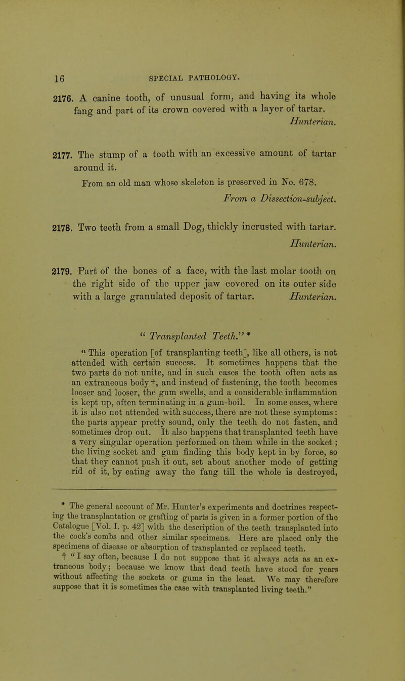 2176. A canine tooth, of unusual form, and having its whole fang and part of its crown covered with a layer of tartar. Jlunterian. 2177. The stump of a tooth with an excessive amount of tartar around it. Prom an old man whose skeleton ia preserved in No. 678. From a Dissection-subject. 2178. Two teeth from a small Dog, thickly incrusted with tartar. Iluntenan. 2179. Part of the bones of a face, with the last molar tooth on the right side of the upper jaw covered on its outer side with a large granulated deposit of tartar. Hunterian.  Transplanted Teethe *  This operation [of transplanting teeth], like all others, is not attended with certain success. It sometimes happens that the two parts do not unite, and in such cases the tooth often acts as an extraneous body f, and instead of fastening, the tooth becomes looser and looser, the gum swells, and a considerable inflammation is kept up, often terminating in a gum-boil. In some cases, where it is also not attended with success, there are not these symptoms : the parts appear pretty sound, only the teeth do not fasten, and sometimes drop out. It also happens that transplanted teeth have a very singular operation performed on them while in the socket; the living socket and gum finding this body kept in by force, so that they cannot push it out, set about another mode of getting rid of it, by eating away the fang tiU the whole is destroyed, * The general account of Mr. Hunter's experiments and doctrines respect- ing the transplantation or grafting of parts is given in a former portion of the Catalogue [Vol. I. p. 42] with the description of the teeth transplanted into the cock's combs and other similar specimens. Here are placed only the specimens of disease or absorption of transplanted or replaced teeth. t  I say often, because I do not suppose that it always acts as an ex- traneous body; because we know that dead teeth have stood for years without affecting the sockets or gums in the least. We may therefore suppose that it is sometimes the case with transplanted living teeth.