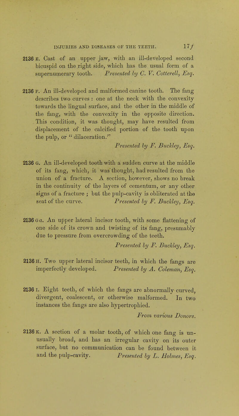 2136 E. Cast of an upper jaw, with an ill-developed second bicuspid on the right side, which has the usual form of a supernumerary tooth. Presented hy C. V. Cotterell, Esq. 2136 F. An ill-developed and malformed canine tooth. The fang describes two curves : one at the neck with the convexity towards the lingual surface, and the other in the middle of the fang, with the convexity in the opposite direction. . This condition, it was thought, may have resulted from displacement of the calcified portion of the tooth upon the pulp, or  dilaceration.' Presented hy F. Buckley, Esq. 2136 G. An ill-developed tooth with a sudden curve at the middle of its fang, which, it was'thought, had resulted from the union of a fracture. A section, however, shows no break in the continuity of the layers of cementum, or any other signs of a fracture ; but the pulp-cavaty is obliterated at the seat of the curve. Presented hy F. Buckley, Esq. 2136 G a. An upper lateral incisor tooth, with some flattening of one side of its croM-n and twisting of its fang, presumably due to pressure from overcrowding of the teeth. Presented hy F. Buckley, Esq. 2136 H. Two upper lateral incisor teeth, in which the fangs are imperfectly developed. Presented by A. Coleman, Esq. 2136 I. Eight teeth, of which the fangs are abnormally curved, divergent, coalescent, or otherwise malformed. In two instances the fangs are also hypertrophied. From various Donors. 2136 K. A section of a molar tooth, of which one fang is un- usually broad, and has an irregular cavity on its outer surface, but no communication can be found between it and the pulp-cavity. Presented hy L. Holmes, Esq.