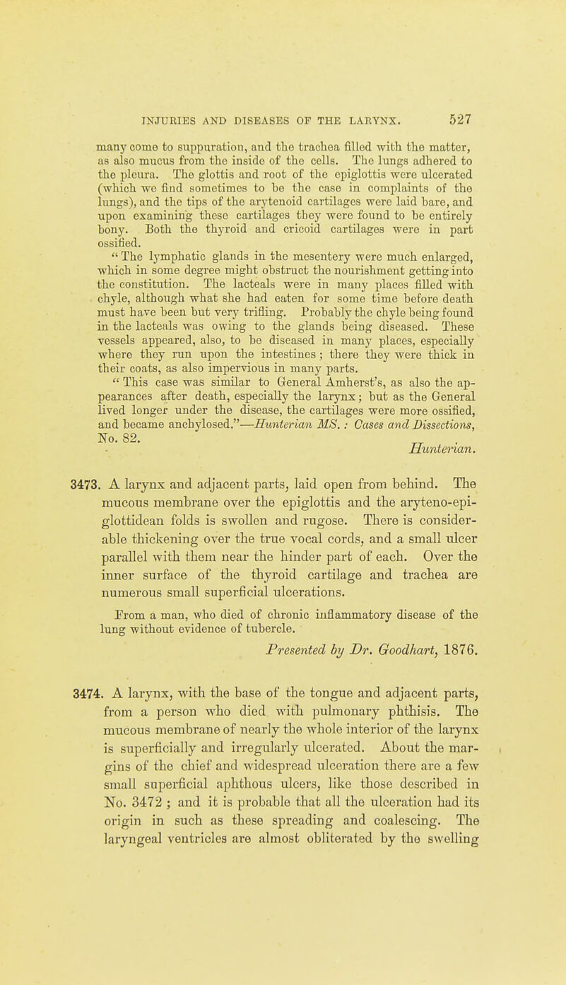 man)' come to suppuration, and the trachea filled with the matter, as also mucus from the inside of the cells. The lungs adhered to the pleura. The glottis and root of the epiglottis were ulcerated (which we find sometimes to be the case in. complaints of tho lungs), and the tips of the arytenoid cartilages were laid hare, and upon examining these cartilages they were found to be entirely bony. Both the thyroid and cricoid cartilages were in part ossified.  The lymphatic glands in the mesentery were much enlarged, which in some degree might obstruct the nourishment getting into the constitution. The lacteals were in many places filled with chyle, although what she had eaten for some time before death must have been but very trifling. Probably the chyle being found in the lacteals was owing to the glands being diseased. These vessels appeared, also, to be diseased in many places, especially' where they run upon the intestines; there they were thick in their coats, as also impervious in many parts.  This case was similar to General Amherst's, as also the ap- pearances after death, especially the larynx; but as the General lived longer under the disease, the cartilages were more ossified, and became anchylosed.—Hunterian MS.: Cases and Dissections, No. 82. Hunterian. 3473. A larynx and adjacent parts, laid open from behind. The mucous membrane over the epiglottis and the aryteno-epi- glottidean folds is swollen and rugose. There is consider- able thickening over the true vocal cords, and a small ulcer parallel with them near the hinder part of each. Over the inner surface of the thyroid cartilage and trachea are numerous small superficial ulcerations. Prom a man, who died of chronic inflammatory disease of the lung without evidence of tubercle. Presented by Dr. Goodhart, 1876. 3474. A larynx, with the base of the tongue and adjacent parts, from a person who died with pulmonary phthisis. The mucous membrane of nearly the whole interior of the larynx is superficially and irregularly ulcerated. About the mar- gins of the chief and widespread ulceration there are a few small superficial aphthous ulcers, like those described in No. 3472 ; and it is probable that all the ulceration had its origin in such as these spreading and coalescing. The laryngeal ventricles are almost obliterated by the swelling