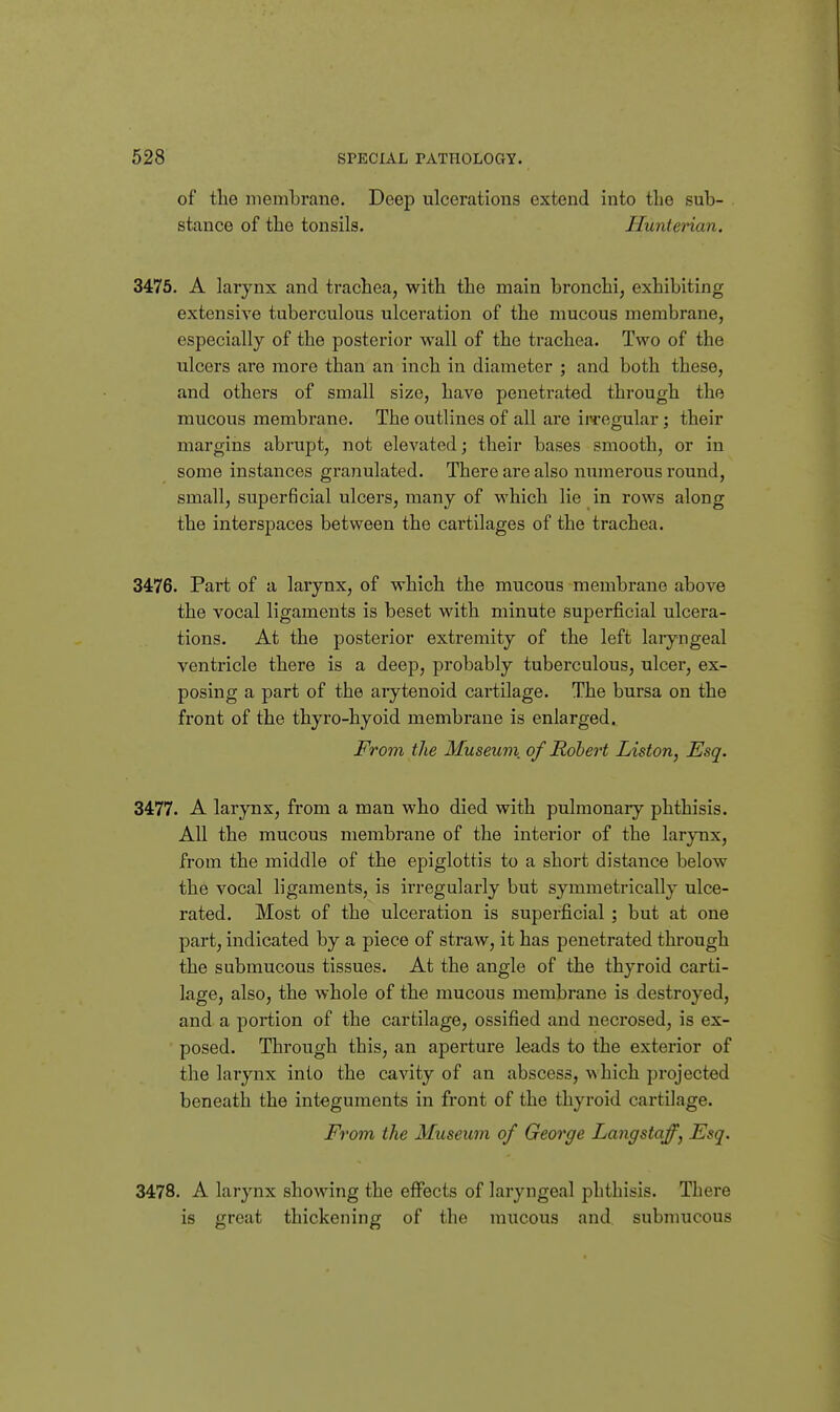 of the membrane. Deep ulcerations extend into the sub- stance of the tonsils. Huntenan. 3475. A larynx and trachea, with the main bronchi, exhibiting extensive tuberculous ulceration of the mucous membrane, especially of the posterior wall of the trachea. Two of the ulcers are more than an inch in diameter ; and both these, and others of small size, have penetrated through the mucous membrane. The outlines of all are ii^egular; their margins abrupt, not elevated; their bases smooth, or in some instances granulated. There are also numerous round, small, superficial ulcers, many of which lie in rows along the interspaces between the cartilages of the trachea, 3476. Part of a larynx, of which the mucous membrane above the vocal ligaments is beset with minute superficial ulcera- tions. At the posterior extremity of the left laryngeal ventricle there is a deep, probably tuberculous, ulcer, ex- posing a part of the arytenoid cartilage. The bursa on the front of the thyro-hyoid membrane is enlarged. From the Museum of Robert Liston, Esq. 3477. A larynx, from a man who died with pulmonary phthisis. All the mucous membrane of the interior of the larynx, from the middle of the epiglottis to a short distance below the vocal ligaments, is irregularly but symmetrically ulce- rated. Most of the ulceration is superficial; but at one part, indicated by a piece of straw, it has penetrated through the submucous tissues. At the angle of the thyroid carti- lage, also, the whole of the mucous membrane is destroyed, and a portion of the cartilage, ossified and necrosed, is ex- posed. Through this, an aperture leads to the exterior of the larynx into the cavity of an abscess, which projected beneath the integuments in front of the thyroid cartilage. From the Museum of George Langstaff, Esq. 3478. A larynx showing the effects of laryngeal phthisis. There is great thickening of the mucous and submucous