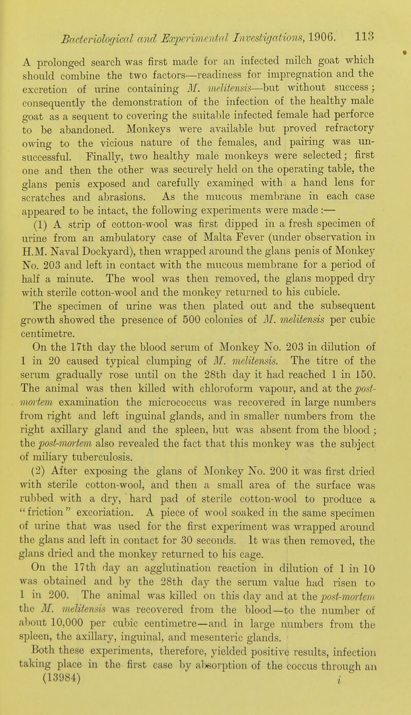 A prolonged search was first made for an infected milch goat which should combine the two factors—readiness for impregnation and the excretion of urine containing M. meUfenffis—but without success; consequently the demonstration of the infection of the healthy male goat as a sequent to covering the suitable infected female had perforce to be abandoned. Monkeys were available but proved refractory owing to the vicious nature of the females, and pairing was un- successful. Finally, two healthy male monkeys were selected; first one and then the other was securely held on the operating table, the glans penis exposed and carefully examined with, a hand lens for scratches and abrasions. As the mucous membrane in each case appeared to be intact, the following experiments were made:— (1) A strip of cotton-wool was first dipped in a fresh specimen of urine from an ambulatory case of Malta Fever (under observation in H.M. Naval Dockyard), then wrapped around the glans penis of Monkey No. 203 and left in contact with the mucous membrane for a period of half a minute. The wool was then removed, the glans mopped dry with sterile cotton-wool and the monkey returned to his cubicle. The specimen of urine was then plated out and the subsequent growth showed the presence of 500 colonies of M. melitensis per cubic centimetre. On the 17th day the blood serum of Monkey No. 203 in dilution of 1 in 20 caused typical clumping of M. melitensis. The titre of the serum gradually rose until on the 28th day it had reached 1 in 150. The animal was then killed with chloroform vapour, and at the post- mortem examination the micrococcus was recovered in large numbers from right and left inguinal glands, and in smaller numbers from the right axillary gland and the spleen, but was absent from the blood; the post-mortem also revealed the fact that this monkey was the subject of miliary tuberculosis. (2) After exposing the glans of Monkey No. 200 it was first dried with sterile cotton-wool, and then a small area of the surface was rubbed with a dry, hard pad of sterile cotton-wool to produce a  friction  excoriation. A piece of wool soaked in the same specimen of urine that was used for the first experiment was wrapped around the glans and left in contact for 30 seconds. It was then removed, the glans dried and the monkey retvirned to his cage. On the 17th day an agglutination reaction in dilution of 1 in 10 was obtained and by the 28th day the serum value had risen to 1 in 200. The animal was killed on this day and at the post-mmiem the 31. melitensis was recovered from the blood—to the number of about 10,000 per cubic centimetre—and in large numbers from the spleen, the axillary, inguinal, and mesenteric glands. Both these experiments, therefore, yielded positive results, infection taking place in the first case liy al)6orption of the coccus through an (13984) i