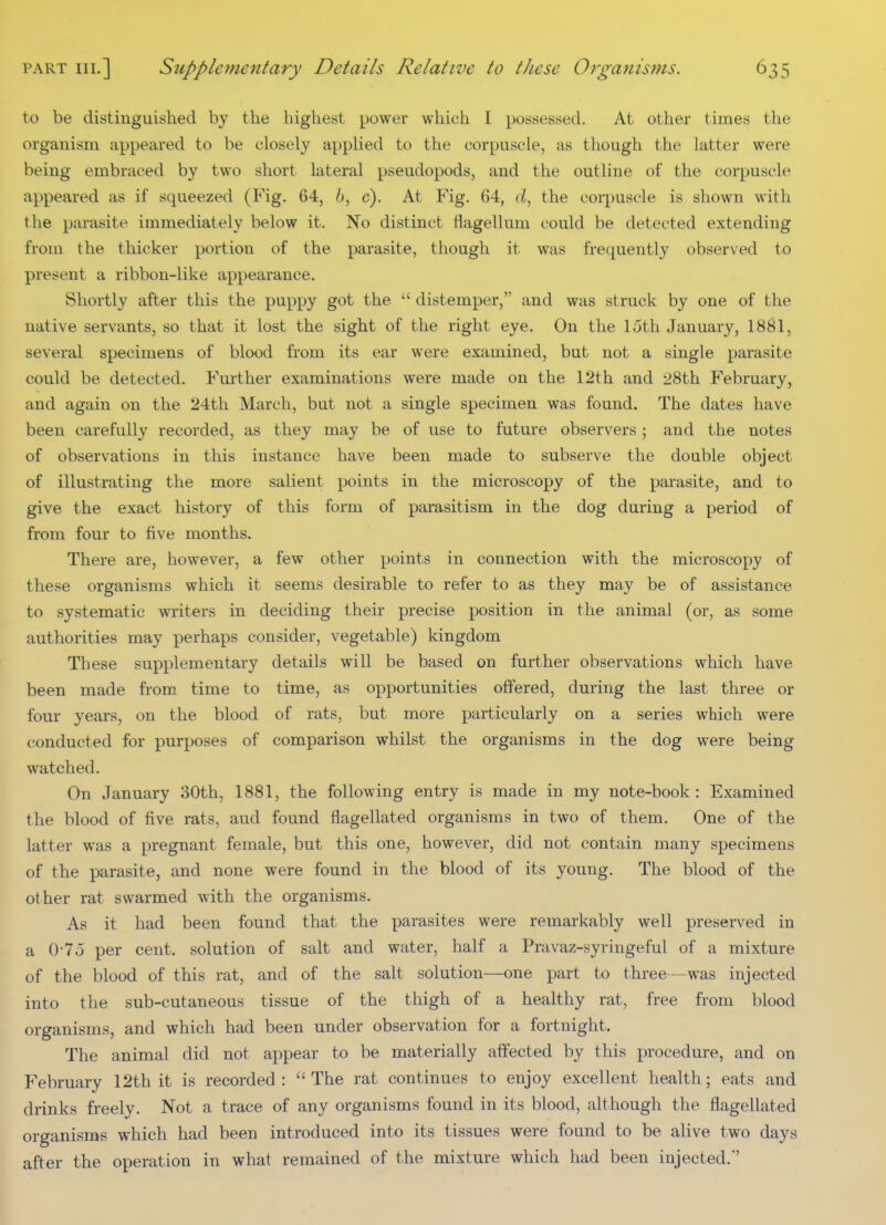 to be distinguished by the highest power which I possessed. At other times the organism appeared to be closely applied to the corpuscle, as though the latter were being embraced by two short lateral pseudopods, and the outline of the corpuscle appeared as if squeezed (Fig. 64, 6, c). At Fig. 64, the corpuscle is shown with the parasite immediately below it. No distinct flagellum could be detected extending from the thicker portion of the parasite, though it was frequently observed to present a ribbon-like appearance. Shortly after this the puppy got the  distemper, and was struck by one of the native servants, so that it lost the sight of the right eye. On the 15th January, 1881, several specimens of blood from its ear were examined, but not a single parasite could be detected. Further examinations were made on the 12th and 28th February, and again on the 24th March, but not a single specimen was found. The dates have been carefully recorded, as they may be of use to future observers; and the notes of observations in this instance have been made to subserve the double object of illustrating the more salient points in the microscopy of the parasite, and to give the exact history of this form of parasitism in the dog during a period of from four to five months. There are, however, a few other points in connection with the microscopy of these organisms which it seems desirable to refer to as they may be of assistance to systematic writers in deciding their precise position in the animal (or, as some authorities may perhaps consider, vegetable) kingdom These supplementary details will be based on further observations which have been made from time to time, as opportunities offered, during the last three or four years, on the blood of rats, but more particularly on a series which were conducted for purposes of comparison whilst the organisms in the dog were being watched. On January 30th, 1881, the following entry is made in my note-book : Examined the blood of five rats, aud found flagellated organisms in two of them. One of the latter was a pregnant female, but this one, however, did not contain many specimens of the parasite, and none were found in the blood of its young. The blood of the other rat swarmed with the organisms. As it had been found that the parasites were remarkably well preserved in a 0-7o per cent, solution of salt and water, half a Pravaz-syringeful of a mixture of the blood of this rat, and of the salt solution—one part to three—was injected into the sub-cutaneous tissue of the thigh of a healthy rat, free from blood organisms, and which had been under observation for a fortnight. The animal did not appear to be materially affected by this procedure, and on February 12th it is recorded: The rat continues to enjoy excellent health; eats and drinks freely. Not a trace of any organisms found in its blood, although the flagellated organisms which had been introduced into its tissues were found to be alive two days after the operation in what remained of the mixture which had been injected.'