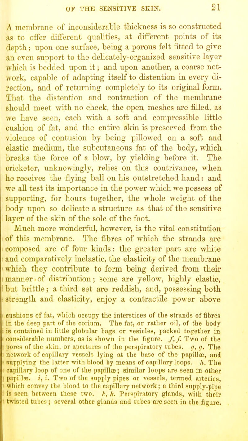 A membrane of inconsicleraljle tliiclmess is so constructed as to offer different qualities, at different points of its depth; upon cue surface, being a porous felt fitted to give an even support to the delicately-organized sensitive layer wliich is bedded upon it; and upon another, a coarse net- vork, capable of adapting itself to distention in every di- rection, and of retiu'uing completely to its original form. That the distention and contraction of the membrane should meet with no check, the open meshes are filled, as vre have seen, each with a soft and compressible Httle cushion of fat, and the entire skin is presei-ved from the violence of contusion by being pillowed on a soft and elastic meclium, the subcutaneous fat of the body, which breaks the force of a blow, by yielding before it. The cricketer, vmknowingly, relies on this conti'ivance, when he receives the flying baU on his outstretched hand: and we all test its importance in the power which we possess of supporting, for hours together, the whole weight of the body upon so deHcate a structure as that of the sensitive layer of the skin of the sole of the foot. Much more wonderful, however, is the vital constitution of this membrane. The fibres of wliich the strands are composed are of four kinds: the greater part are white and comparatively inelastic, the elasticity of the membrane which they contribute to form being derived from their manner ■ of distribution; some are yellow, highly elastic, ' but brittle; a third set are reddish, and, possessing both ■ strength and elasticity, enjoy a contractile power above cushions of fat, wliich occupy the interstices of the strands of fibres in the deep part of the corium. The fat, or rather oil, of the body I is contained in little globular bags or Tesicles, packed together in considerable numbers, as is shown in the figure. /,/ Two of the 1 pores of the skin, or apertures of the perspiratory tubes, g, 7. The network of capillary vessels lying at the base of the papillse, and ■ supplying the latter with blood by means of capillary loops, h. The capillary loop of one of the papilloe ; similar loops are seen in other papillsB. J, i. Two of the supply pipes or vessels, termed arteries, which convey the blood to the capillniy network; a third supply-pipe is seen between these two. /c, k. Perspiratory glands, wiili their twisted tubes; several other glands and tubes are seen in the figure.