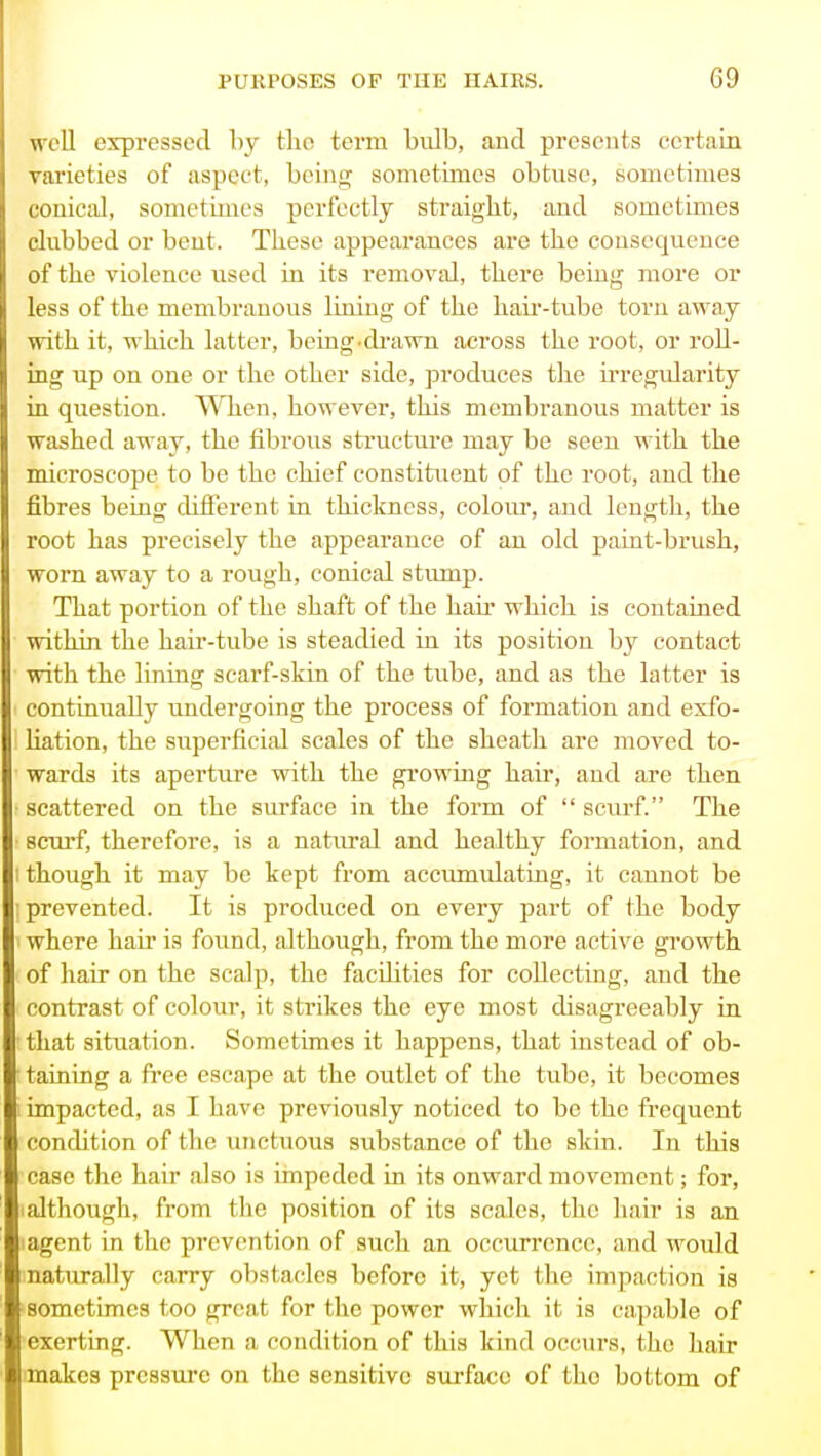 well expressed hy tho term biilb, and presents certain varieties of aspect, being sometimes obtuse, sometimes conicixl, sometimes perfectly straight, and sometimes clubbed or bent. These appearances are the consequence of the violence used in its removal, there being more or less of the membranous lining of the haii-tube torn away with it, which latter, being.di-awn across the root, or roll- ing up on one or the other side, produces the irregidarity in question. T\1ien, however, this membranous matter is washed away, the fibrous structure may be seen with the microscope to be the chief constituent of the root, and the fibres being different in thickness, colour, and length, the root has precisely the appearance of au old paint-brush, worn away to a rough, conical stump. That portion of the shaft of the hair which is contained within the hair-tube is steadied in its position by contact with the lining scarf-skki of the tube, and as the latter is continually undergoing the process of formation and exfo- liation, the superficial scales of the sheath are moved to- wards its aperture with the growing hair, and are then scattered on the surface in the form of  scurf. The scurf, therefore, is a natural and healthy formation, and though it may be kept from accumulating, it cannot be prevented. It is produced on every part of the body where hair is found, although, from the more active growth of hair on the scalp, the facilities for collecting, and the contrast of colour, it strikes the eye most disagreeably in that sitiiation. Sometimes it happens, that instead of ob- taining a free escape at the outlet of the tube, it becomes impacted, as I have previously noticed to be the frequent condition of the unctuous substance of the skin. In this case the hair also is impeded in its onward movement; for, I although, from the position of its scales, the hair is an lagent in the prevention of such an occurrence, and would naturally carry obstacles before it, yet the impaction is sometimes too great for the power which it is capable of exerting. When a condition of this kind occurs, the hair makes pressure on the sensitive surfa<;e of the bottom of