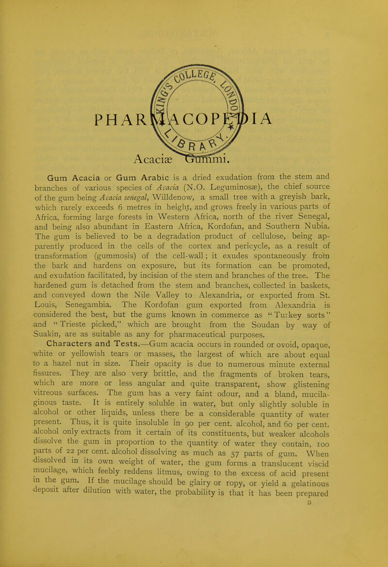 Gum Acacia or Gum Arabic is a dried exudation from the stem and branches of various species of Acacia (N.O. Leguminosse), the chief source ■oi the gum being Acacia Senegal, Willdenow, a small tree with a greyish bark, which rarely exceeds 6 metres in height, and grows freely in various parts of Africa, forming large forests in Western Africa, north of the river Senegal, and being also abundant in Eastern Africa, Kordofan, and Southern Nubia. The gum is believed to be a degradation product of cellulose, being ap- parently produced in the cells of the cortex and pericycle, as a result of transformation (gummosis) of the cell-wall; it exudes spontaneously frohi the bark and hardens on exposure, but its formation can be promoted, and exudation facilitated, by incision of the stem and branches of the tree. The hardened gum is detached from the stem and branches, collected in baskets, and conveyed down the Nile Valley to Alexandria, or exported from St. Louis, Senegambia. The Kordofan gum exported from Alexandria is considered the best, but the gums known in commerce as  Turkey sorts ■and  Trieste picked, which are brought from the Soudan by way of Suakin, are as suitable as any for pharmaceutical purposes. Characters and Tests.—Gum acacia occurs in rounded or ovoid, opaque, white or yellowish tears or masses, the largest of which are about equal to a hazel nut in size. Their opacity is due to numerous minute external fissures. They are also very brittle, and the fragments of broken tears, which are more or less angular and quite transparent, show glistening vitreous surfaces. The gum has a very faint odour, and a bland, mucila- ginous taste. It is entirely soluble in water, but only slightly soluble in •alcohol or other liquids, unless there be a considerable quantity of water present. Thus, it is quite insoluble in go per cent, alcohol, and 60 per cent, alcohol only extracts from it certain of its constituents, but weaker alcohols dissolve the gum in proportion to the quantity of water they contain, 100 parts of 22 per cent, alcohol dissolving as much as 57 parts of gum. When dissolved in its own weight of water, the gum forms a translucent viscid mucilage, which feebly reddens litmus, owing to the excess of acid present in the gum. If the mucilage should be glairy or ropy, or yield a gelatinous deposit after dilution with water, the probabiHty is that it has been prepared B