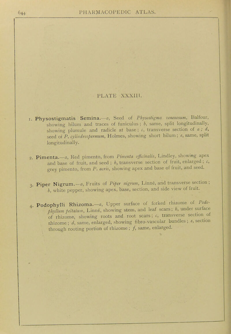 PLATE XXXIir. 1. Physostigmatis Semina.—a, Seed of Physostigma venenosum, Balfour, showing hilum and traces of funiculus ; b, same, split longitudinally, showing plumule and radicle at base ; c, transverse section of a; d, seed of P. cylindvospermum, Holmes, showing short hilum ; e, same, split longitudinally. 2. Pimenta.—fl, Red pimento, from Pimenta officinalis, Lindley, showing apex and base of fruit, and seed ; h, transverse section of fruit, enlarged ; c, grey pimento, from P. acris, showing apex and base of fruit, and seed. 3. Piper Nigrum.—<7., Fruits of Piper nignm, Linne, and transverse section ; b, white pepper, showing apex, base, section, and side view of fruit. 4. Podophylli Rhizoma.—ft. Upper surface of forked rhizome of Podo- phyllum peltaium, Linne, showing stem, and leaf scars; h, under surface of rhizome, showing roots and root scars; c, transverse section of riiizome; d, same, enlarged, showing fibro-vascular bundles ; section through rooting portiori of rhizome ; /, same, enlarged.