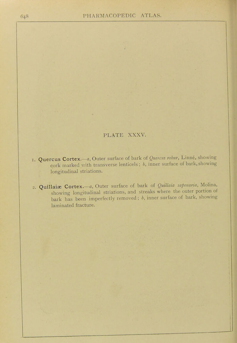 PLATE XXXV. 1. Quercus Cortex.—Outer surface of bark of Qtiercus vobur, Linne, showing cork marked Avith transverse lenticels; b, inner surface of bark, showing longitudinal striations. 2. Quillaiae Cortex.—fl, Outer surface of bark of Quillaia saponavia, Molina, showing longitudinal striations, and streaks where the outer portion of bark has been imperfectly removed ; h, inner surface of bark, showing laminated fracture.