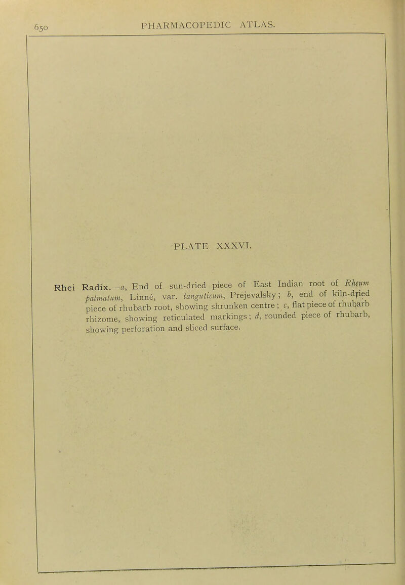PLATE XXXVL Rhei Radix.—fl, End of sun-dried piece of East Indian root of Rlmm pdmatim, Linne, var. tanguticum, Prejevalsky; b, end of kiln-dped piece of rhubarb root, showing shrunken centre ; c, flat piece of rhut^arb rhizome, showing reticulated markings; d, rounded piece of rhubarb, showing perforation and shced surface.