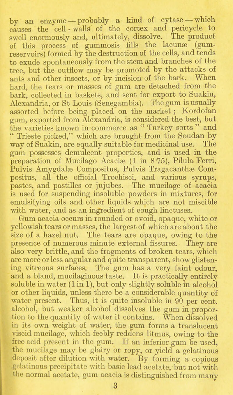 by an enzyme — probably a kind of cytase — wbicli causes the cell - walls of the cortex and pericycle to swell enormously and, ultimately, dissolve. The product of this process of gummosis fills the lacunse (gum- reservoirs) formed by the destruction of the cells, and tends to exude spontaneously from the stem and branches of the tree, but the outflow may be promoted by the attacks of ants and other insects, or by incision of the bark. When hard, the tears or masses of gum are detached from the bark, collected in baskets, and sent for export to Suakin, Alexandria, or St Louis (Senegambia). The gum is usually assorted before being placed on the market; Kordofan gum, exported from Alexandria, is considered the best, but the varieties known in commerce as  Turkey sorts  and  Trieste picked, which are brought from the Soudan by way of Suakin, are equally suitable for medicinal use. The gam possesses demiilcent properties, and is used in the preparation of Mucilago Acacise (1 in 8 75), Pilula Ferri, Pulvis Amygdalae Compositus, Pulvis Tragacanthse Com- positus, all the official Trochisci, and various syrups, pastes, and pastilles or jujubes. The mucilage of acacia is used for suspending insoluble powders in mixtures, for emulsifying oils and other Hquids which are not miscible with water, and as an ingredient of cough linctuses. Gum acacia occurs in rounded or ovoid, opaque, white or yellowish tears or masses, the largest of which are about the size of a hazel nut. The tears are opaque, owing to the presence of numerous minute external fissures. They are also very brittle, and the fragments of broken tears, which are more or less angular and quite transparent, show ghsten- ing vitreous surfaces. The gum has a very faint odour, and a bland, mucilaginous taste. It is practically entirely soluble in water (1 in 1), but only sUghtly soluble in alcohol or other hquids, unless there be a considerable quantity of water present. Thus, it is quite insoluble in 90 per cent, alcohol, but weaker alcohol dissolves the gum in propor- tion to the quantity of water it contains. When dissolved in its own weight of water, the gum forms a translucent viscid mucilage, which feebly reddens Utmus, owing to the free acid present in the gum. If an inferior gum be used, the mucilage may be glairy or ropy, or yield a gelatinous deposit after dilution with water. By forming a copious gelatinous precipitate with basic lead acetate, but not with the normal acetate, gum acacia is distinguished from many