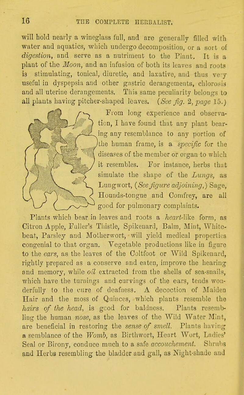 will hold neai'ly a wineglass full, and are generally filled with water and aquatics, which undergo decomposition, or a sort of digestion, and serve as a nutriment to the Plant. It is a plant of the Moon, and an infusion of both its leaves and roots is stimulating, touical, diuretic, and laxative, and thus ve y useful in dyspepsia and other gastric derangements, chlorosis and all uterine derangements. This same peculiarity belongs to all plauts having pitcher-shaped leaves. (See Jig. 2, page 15.) From long experience and observa- tion, I have found that any plant bear- ing any resemblance to any portion of the human frame, is a specific for the diseases of the member or organ to which it resembles. For instance, herbs that simulate the shape of the Lungs, as Lungwort, (See figure adjoining,) Sage, Hounds-tongne and Conifrey, are all good for pulmonary complaints. Plants which bear in leaves and roots a heart-Vike form, as Citron Apple, Fuller's Thistle, Spikenard, Balm, Mint, White- beat, Parsley and Motherwort, will yield medical properties congenial to that organ. Vegetable productions like in figure to the ears, as the leaves of the Coltfoot or Wild Spikenard, rightly prepared as a conserve and eaten, improve the hearing and memory, while oil extracted from the shells of sea-snails, which have the turnings and curvings of the ears, tends won- derfully to the cure of deafness. A decoction of Maiden Hair and the moss of Quinces, which plants resemble the hairs of the head, is gcod for baldness. Plants resemb- ling the human nose, as the leaves of the Wild Water Mint, are beneficial in restoring the sense of smell. Plants having a semblance of the Womb, as Birthvvort, Heart Wort, Ladies' Seal or Birony, conduce much to a safe accouchement. Shrubs and Herbs resembling the bladder and gall, as Night-shade and