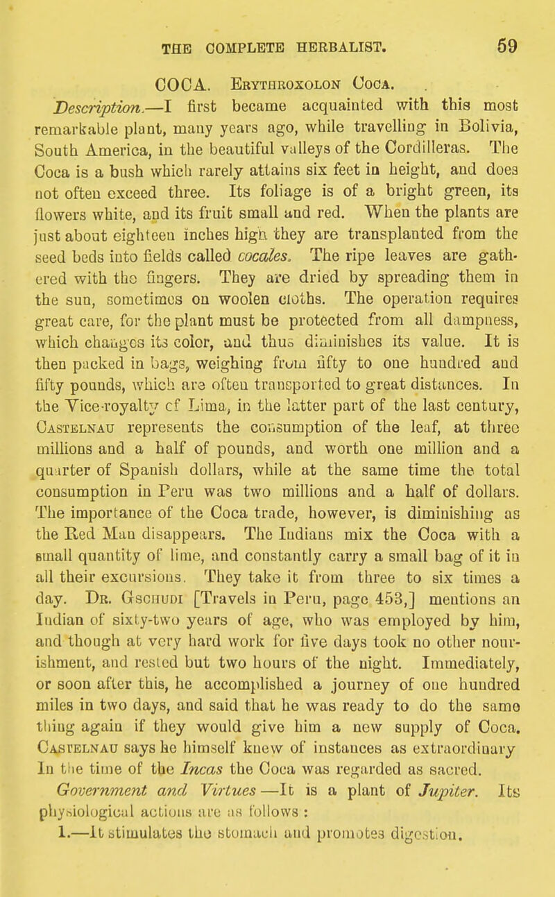 COCA. Ebythroxolon Coca. Description.—I first became acquainted with this most remarkable plant, many years ago, while travelling in Bolivia, South America, in the beautiful valleys of the Cordilleras. The Coca is a bush which rarely attains six feet ia height, and does not often exceed three. Its foliage is of a bright green, its flowers white, and its fruit small and red. When the plants are just about eighteen inches high they are transplanted from the seed beds into fields called cocaJks. The ripe leaves are gath- ered with the fingers. They are dried by spreading them in the sun, sometimes on woolen cloths. The operation requires great care, for the plant must be protected from all dampness, which chaiiges its color, and thus diiiiiuishes its value. It is then packed in bags, weighing from ufty to one hundred and fifty pounds, which are often transported to great distances. In the Yice-royalty cf Lima, in the latter part of the last century, Castelnau represents the coiiSumption of the leaf, at three millions and a half of pounds, and worth one million and a quarter of Spanish dollars, while at the same time the total consumption in Peru was two millions and a half of dollars. The importance of the Coca trade, however, is diminishing as the Red Man disappears. The Indians mix the Coca with a small quantity of lime, and constantly carry a small bag of it in all their excursions. They take it from three to six times a day. Dr. Gsciiudi [Travels in Peru, page 453,] mentions an Indian of sixty-two years of age, who was employed by him, and though at very hard work for five days took no other nour- ishment, and rested but two hours of the night. Immediately, or soon after this, he accomplished a journey of one hundred miles in two days, and said that he was ready to do the same tiling again if they would give him a new supply of Coca. Castelnau says he himself knew of instances as extraordinary In tlie time of the Incas the Coca was regarded as sacred. Gove^-nment and Virtues—It is a plant of Jupiter. Its pliysiological actions are an follows : 1.—it stimulates the stomach and promotes digestion.