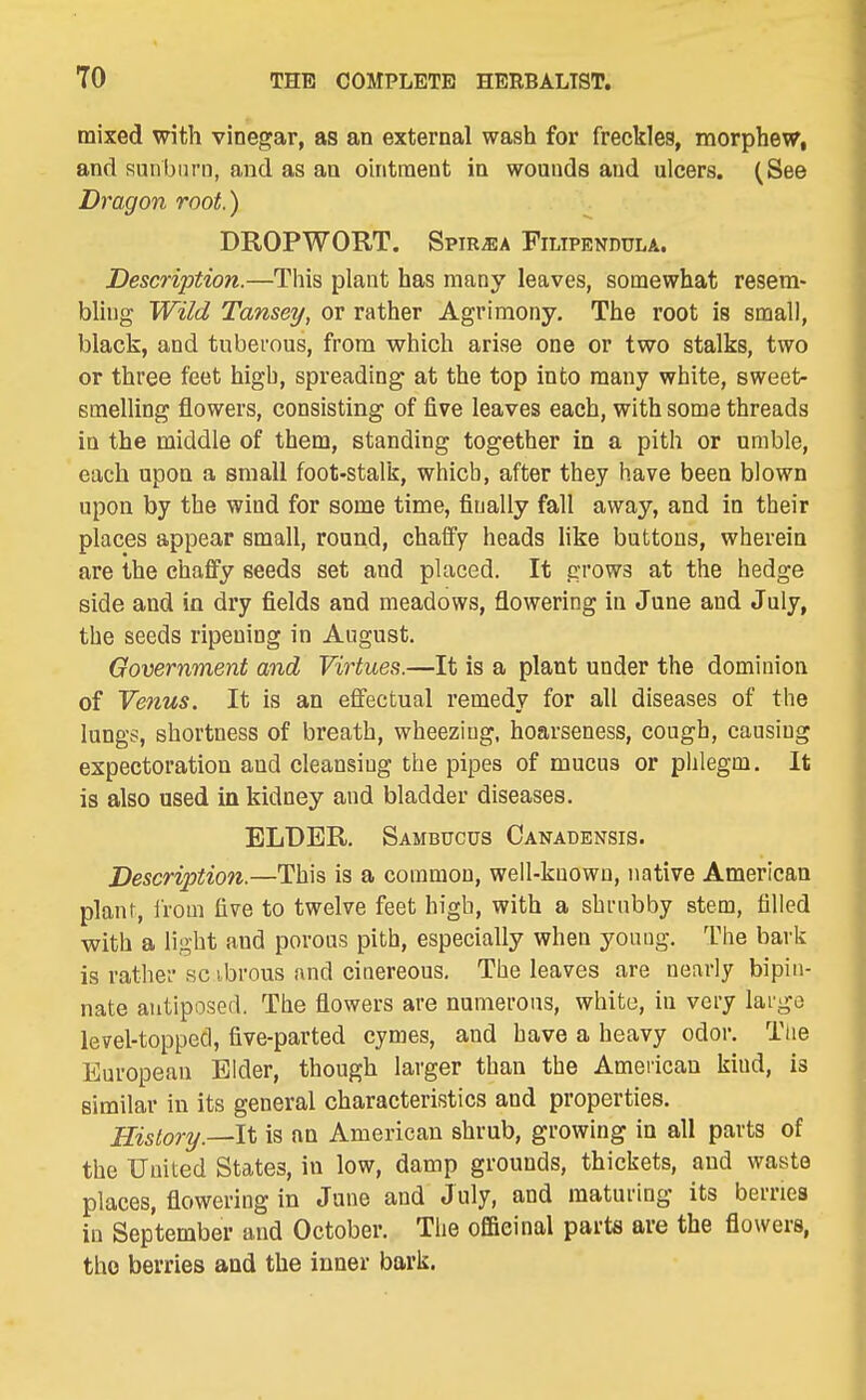 mixed with vinegar, as an external wash for freckles, morphea, and sunburn, and as an ointment in wounds and ulcers. (See Dragon root.) DROPWORT. Spir^a Filipendula. Description.—Tiiis plant has many leaves, somewhat resem- bling Wild Tansey, or rather Agrimony. The root is small, black, and tuberous, from which arise one or two stalks, two or three feet high, spreading at the top into many white, sweet- smelling flowers, consisting of five leaves each, with some threads in the middle of them, standing together in a pith or umble, each upon a small foot-stalk, which, after they have been blown upon by the wind for some time, finally fall away, and in their places appear small, round, chaffy heads like buttons, wherein are the chafiy seeds set and placed. It grows at the hedge side and in dry fields and meadows, flowering in June and July, the seeds ripening in August. Government and Virtues.—It is a plant under the dominion of Venus. It is an effectual remedy for all diseases of the lungs, shortness of breath, wheezing, hoarseness, cough, causing expectoration and cleansing the pipes of mucus or phlegm. It is also used in kidney and bladder diseases. ELDER. Sambucus Canadensis. Description.—This is a common, well-known, native American plant, ii'om five to twelve feet high, with a shrubby stem, filled with a light and porous pith, especially when young. The bark is rather sc ibrous and cinereous. The leaves are nearly bipin- nate antiposed. The flowers are numerous, white, in very large level-topped, five-parted cymes, and have a heavy odor. Ttie European Elder, though larger than the American kind, is similar in its general characteristics and properties. History.—It is an American shrub, growing in all parts of the United States, in low, damp grounds, thickets, and waste places, flowering in June and July, and maturing its berries in September and October. The officinal parts are the flowers, tho berries and the inner bark.