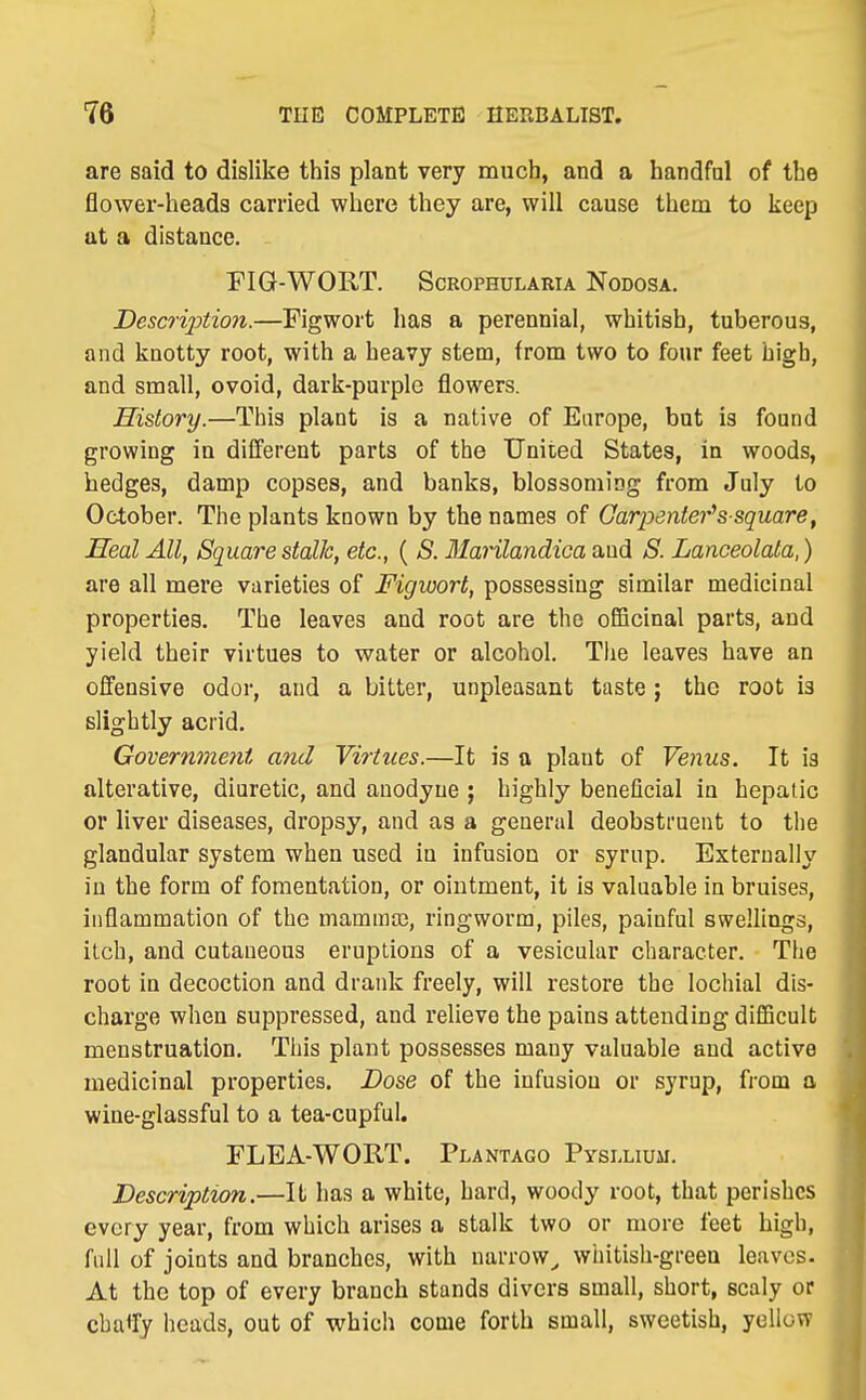 are said to dislike this plant very much, and a handful of the flower-heads carried where they are, will cause them to keep at a distance. FIG-WORT. ScROPHULARiA Nodosa. DescrijJtion.—Flgwort has a perennial, whitish, tuberous, and knotty root, with a heavy stem, from two to four feet high, and small, ovoid, dark-purple flowers. History.—This plant is a native of Europe, but is found growing in diiferent parts of the United States, in woods, hedges, damp copses, and banks, blossoming from July to October. The plants known by the names of Carpenter''s square^ Seal AH, Square stalk, etc., ( S. Manlandica and S. Lanceolata,) are all mere varieties of Figwort, possessing similar medicinal properties. The leaves and root are the officinal parts, and yield their virtues to water or alcohol. The leaves have an offensive odor, and a bitter, unpleasant taste ; the root is slightly acrid. Government and Virtues.—It is a plant of Venus. It is alterative, diuretic, and anodyne ; highly beneQcial in hepatic or liver diseases, dropsy, and as a general deobstruent to the glandular system when used in infusion or syrup. Externally in the form of fomentation, or ointment, it is valuable in bruises, inflammation of the mammas, ringworm, piles, painful swellings, itch, and cutaneous eruptions of a vesicular character. The root in decoction and drank freely, will restore the lochial dis- charge when suppressed, and relieve the pains attending difficult menstruation. This plant possesses many valuable and active medicinal properties. Dose of the infusion or syrup, from a wine-glassful to a tea-cupful. FLEA-WORT. Plantago Pysllium. Description.—II has a white, hard, woody root, that perishes every year, from which arises a stalk two or more feet high, full of joints and branches, with narrow^ whitish-green leaves. At the top of every branch stands divers small, short, scaly or cba% heads, out of which come forth small, sweetish, yellow