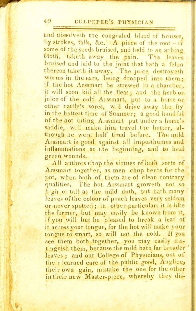 and (Jissolveth the congealed blood of bruises, by strokes, falls, &c. A piece of the root - o'r some of the seeds bruised, and held to at) aching tooth, taketh away the pain. The leaves bruised and laid to the joint that hath a felon thereon taketh it away. The juice destroyeth worms in the ears, being dropped into them; if the hot Arssmart be strewed in a chamber, it will soon kill all the fleas; and the herb or juice of the cold Arssmart, put to a bt>r-r or other cattle's sores, will drive away the fly in the hottest time of Summer; a good handful of the hot biting Arssmart put under a horse's saddle, will make him travel the better, al- though he were half tired before. The mild Arssmart is good against all imposthumes and inflammations at the beginning, and to heal green wounds. All authors chop the virtues of both sorts of Arssmart together, as men chop herbs fur the pot, when both of them are of clean contrary qualities. The hot Arssmart groweth not so high or tall as the mild doth, but hath ninny leaves of the colour of peach leaves very seldom or never spotted ; in other particulars it is like the former, but may easily be known from it, if you will but be pleased to break a leaf of it across your tongue, for the hot will make your tougue to smart, so will not the cold. If you see them both together, you may easily dis- tinguish them, because the mild hath far broader ' leaves ; and Our College of Physicians, out of their learned care of the public good, Anglice, their own gain, mistake the one for the other in their new Master-piece, whereby they dis)