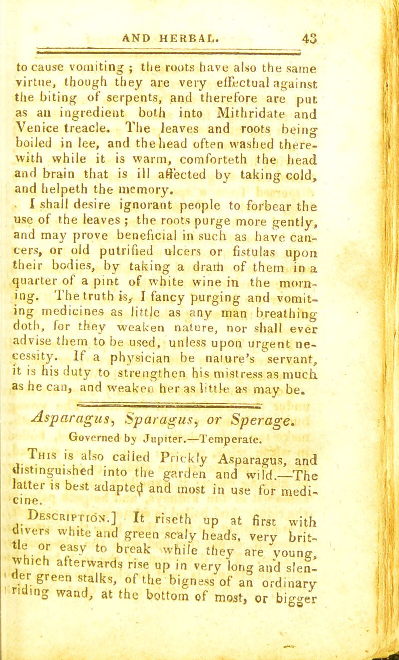 to cause vomiting ; the roots have also the same virtue, though they are very effectual against the biting of serpents, and therefore are put as au ingredient both into Mithridate and Venice treacle. The leaves and roots being boiled in lee, and the head often washed there- with while it is warm, comforteth the head and brain that is ill affected by taking cold, and helpeth the memory. . I shall desire ignorant people to forbear the use of the leaves ; the roots purge more gently, and may prove beneficial in such as have can- cers, or old putrified ulcers or fistulas upon their bodies, by taking a dram of them in a quarter of a pint of white wine in the morn- ing. The truth is, I fancy purging and vomit- ing medicines as little as any man breathing doth, for they weaken nature, nor shall ever advise them to be used, unless upon urgent ne- cessity. If a physician be nature's servant, it is his duty to strengthen his mistress as much as he can, and weaken her as little as may be. Asparagus, Sparagus, or Sperage. Governed by Jupiter.—Temperate. This is also caiied Prickly Asparagus, and distinguished into the garden and wild.—The latter is best adapted and most in use for medi- cine. Description.] It riseth up at first with divers white and green scaly heads, very brit- tle or easy to break while they are voung which afterwards rise up in very long and slen- der green stalks, of the bigness of an ordinary riding wand, at the bottom of most, or bi^er