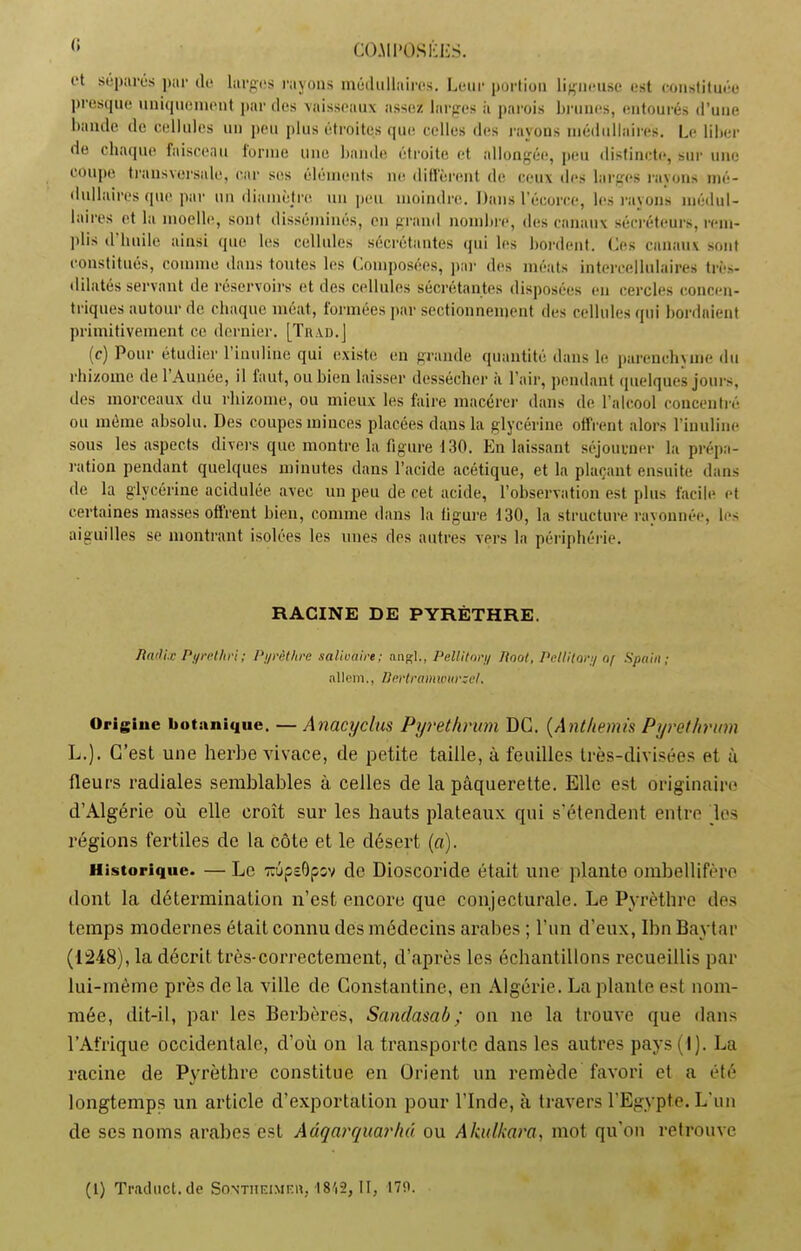 et séparés par de larges rayons médullaires. Leur portion ligneuse est constituée presque uniquement paroles 'vaisseaux assez larges à parois brunes, entourés d’une bande de cellules un peu plus étroites que celles des rayons médullaires. Le liber de chaque faisceau forme une bande étroite et allongée, peu distincte, sur une coupe transversale, car ses éléments ne diffèrent de ceux des larges ravons mé- dullaires que par un diamètre un peu moindre. Dans l’écorce, les rayons médul- laires et la moelle, sont disséminés, en grand nombre, des canaux sécréteurs, rem- pli* d’huile ainsi que les cellules sécrétantes qui les bordent. Ces canaux sont constitués, comme dans toutes les Composées, par des méats intercellulaires très- ddatés servant de réservoirs et des cellules sécrétantes disposées en cercles concen- triques autour de chaque méat, formées par sectionnement des cellules qui bordaient primitivement ce dernier. [Trad.J (c) Pour étudier l’inuline qui existe en grande quantité dans le parenchyme du rhizome de l’Aunée, il faut, ou bien laisser dessécher à l’air, pendant quelques jours, des morceaux du rhizome, ou mieux les faire macérer dans de l’alcool concentré ou même absolu. Des coupes minces placées dans la glycérine offrent alors l’inuline sous les aspects divers que montre la figure 130. En laissant séjourner la prépa- ration pendant quelques minutes dans l’acide acétique, et la plaçant ensuite dans de la glycérine acidulée avec un peu de cet acide, l’observation est plus facile et certaines masses offrent bien, comme dans la figure 130, la structure ravonnée, les aiguilles se montrant isolées les unes des autres vers la périphérie. RACINE DE PYRÈTHRE. Radie Pyrelhvi; Pyrèthre salivaire ; angl., Pellitory Root, PclHtary Of Spain ; ailem., IJertramwursel. Origine botanique. — Anacyclus Pyrethrum DG. (Anthémis Pyrethrum L.). C’est une herbe vivace, de petite taille, à feuilles très-divisées et à fleurs radiales semblables à celles de la pâquerette. Elle est originaire d’Algérie où elle croît sur les hauts plateaux qui s’étendent entre les régions fertiles de la côte et le désert (a). Historique. — Le Tî’jpsOpsv de Dioscoride était une plante ombellifère dont la détermination n’est encore que conjecturale. Le Pyrèthre des temps modernes était connu des médecins arabes ; l’un d’eux, Ibn Baytar (1248), la décrit très-correctement, d’après les échantillons recueillis par lui-même près de la ville de Gonstantine, en Algérie. La plante est nom- mée, dit-il, par les Berbères, Sandasab ; on ne la trouve que dans l’Afrique occidentale, d’où on la transporte dans les autres pays(l). La racine de Pyrèthre constitue en Orient un remède favori et a été longtemps un article d’exportation pour l’Inde, à travers l’Egypte. L'un de ses noms arabes est Aâqarquarhd ou Akulkara, mot qu’on retrouve (1) Tracluct.de Sontiieime», 1842, II, 179.