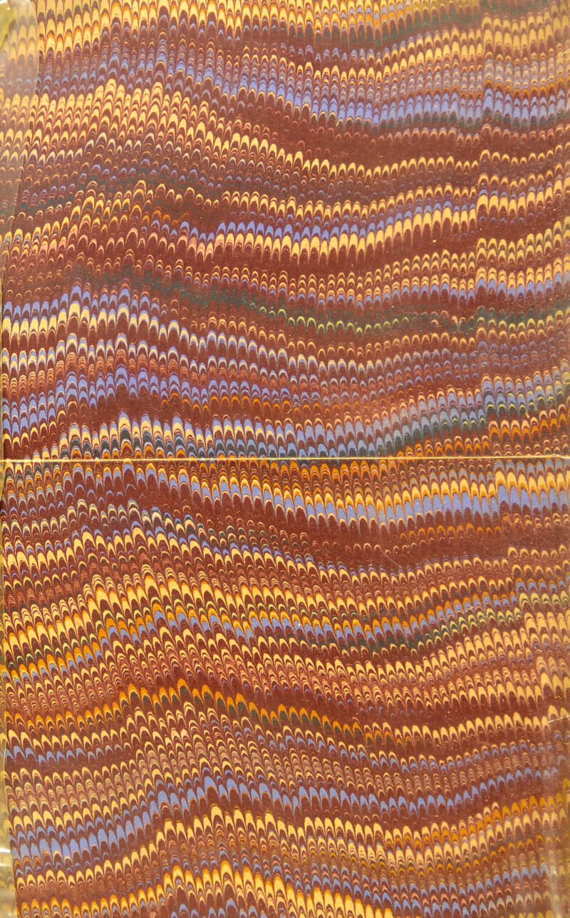 No text description is available for this image