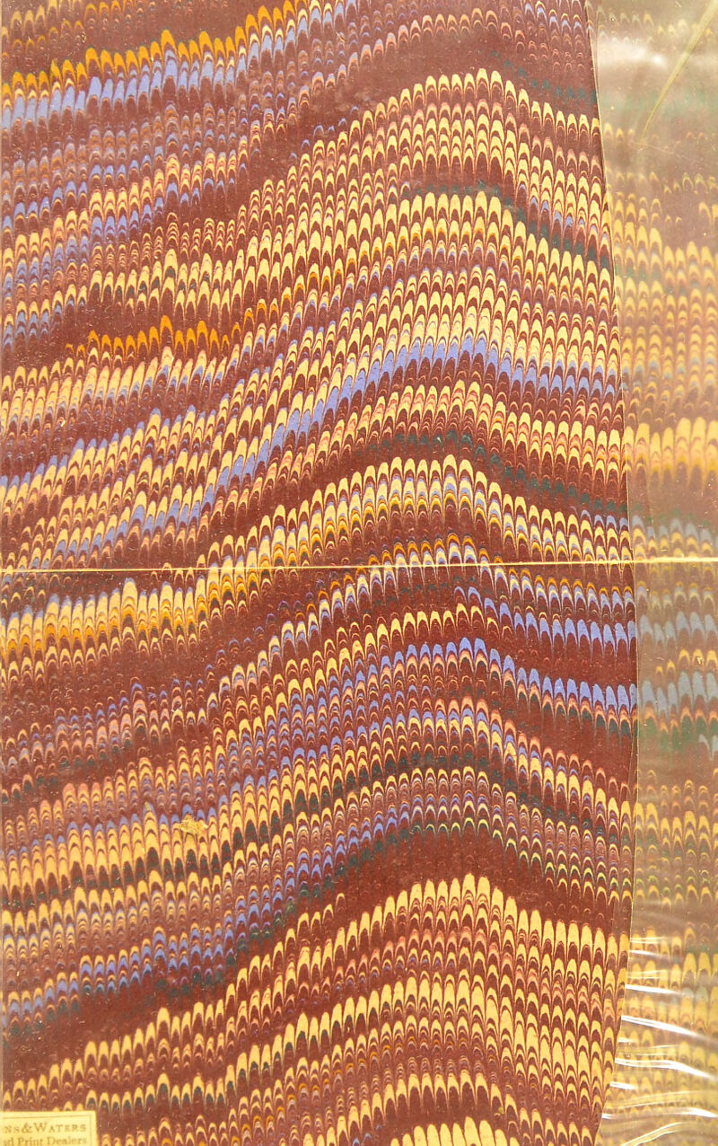 No text description is available for this image