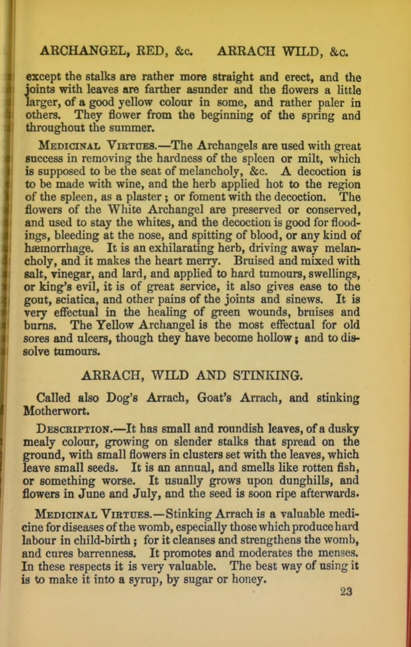 ARCHANGEL, RED, &c. ARRACH WILD, &c. except the stalks are rather more straight and erect, and the joints with leaves are farther asunder and the flowers a little larger, of a good yellow colour in some, and rather paler in others. They flower from the beginning of the spring and throughout the summer. Medicinal Virtues.—The Archangels are used with great success in removing the hardness of the spleen or milt, which is supposed to be the seat of melancholy, &c. A decoction is to be made with wine, and the herb applied hot to the region of the spleen, as a plaster ; or foment with the decoction. The flowers of the White Archangel are preserved or conserved, and used to stay the whites, and the decoction is good for flood- ings, bleeding at the nose, and spitting of blood, or any kind of haamorrhage. It is an exhilarating herb, driving away melan- choly, and it makes the heart merry. Bruised and mixed with salt, vinegar, and lard, and applied to hard tumours, swellings, or king's evil, it is of great service, it also gives ease to the gout, sciatica, and other pains of the joints and sinews. It is very effectual in the healing of green wounds, braises and burns. The Yellow Archangel is the most effectual for old sores and ulcers, though they have become hollow; and to dis- solve tumours. ARRACH, WILD AND STINKING. Called also Dog's Arrach, Goat's Arrach, and stinking Motherwort. Description.—It has small and roundish leaves, of a dusky mealy colour, growing on slender stalks that spread on the ground, with small flowers in clusters set with the leaves, which leave small seeds. It is an annual, and smells like rotten fish, or something worse. It usually grows upon dunghills, and flowers in June and July, and the seed is soon ripe afterwards. Medicinal Virtues.—Stinking Arrach is a valuable medi- cine for diseases of the womb, especially those which produce hard labour in child-birth; for it cleanses and strengthens the womb, and cures barrenness. It promotes and moderates the menses. In these respects it is very valuable. The best way of using it is to make it into a syrup, by sugar or honey.