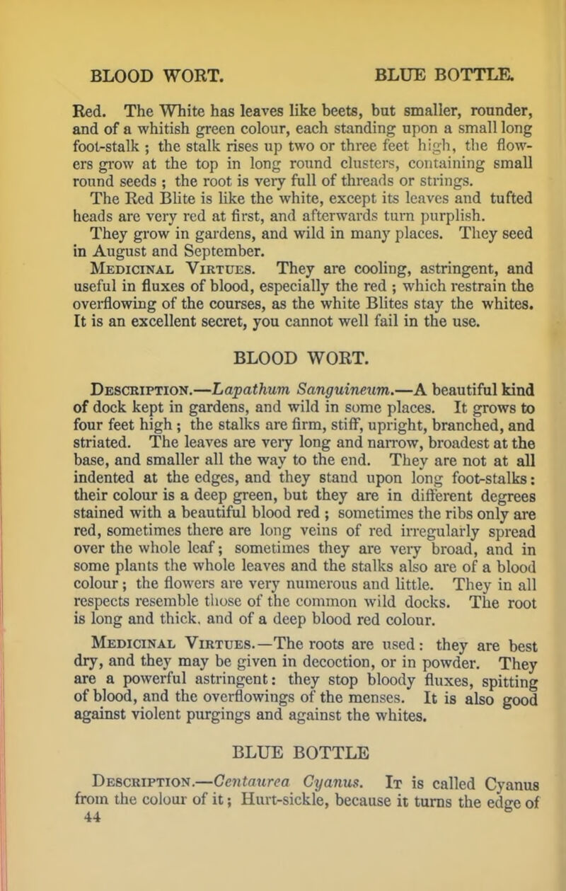 BLOOD WORT. BLUE BOTTLE. Red. The White has leaves like beets, but smaller, rounder, and of a whitish green colour, each standing upon a small long foot-stalk ; the stalk rises up two or three feet high, the flow- ers grow at the top in long round clusters, containing small round seeds ; the root is very full of threads or strings. The Red Blite is like the white, except its leaves and tufted heads are very red at first, and afterwards turn purplish. They grow in gardens, and wild in many places. They seed in August and September. Medicinal Virtues. They are cooling, astringent, and useful in fluxes of blood, especially the red ; which restrain the overflowing of the courses, as the white Blites stay the whites. It is an excellent secret, you cannot well fail in the use. BLOOD WORT. Description.—Lapathum Sanguineum.—A beautiful kind of dock kept in gardens, and wild in some places. It grows to four feet high ; the stalks are firm, stiff, upright, branched, and striated. The leaves are very long and narrow, broadest at the base, and smaller all the way to the end. They are not at all indented at the edges, and they stand upon long foot-stalks: their colour is a deep green, but they are in different degrees stained with a beautiful blood red ; sometimes the ribs only are red, sometimes there are long veins of red irregularly spread over the whole leaf; sometimes they are veiy broad, and in some plants the whole leaves and the stalks also are of a blood colour; the flowers are very numerous and little. They in all respects resemble those of the common wild docks. The root is long and thick, and of a deep blood red colour. Medicinal Virtues.—The roots are used: they are best dry, and they may be given in decoction, or in powder. They are a powerful astringent: they stop bloody fluxes, spitting of blood, and the overflowings of the menses. It is also good against violent purgings and against the whites. BLUE BOTTLE Description.—Ccntaurea Gyanus. It is called Cyanus from the colour of it; Hurt-sickle, because it turns the edge of